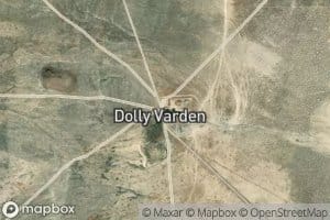 Dolly Varden Spring