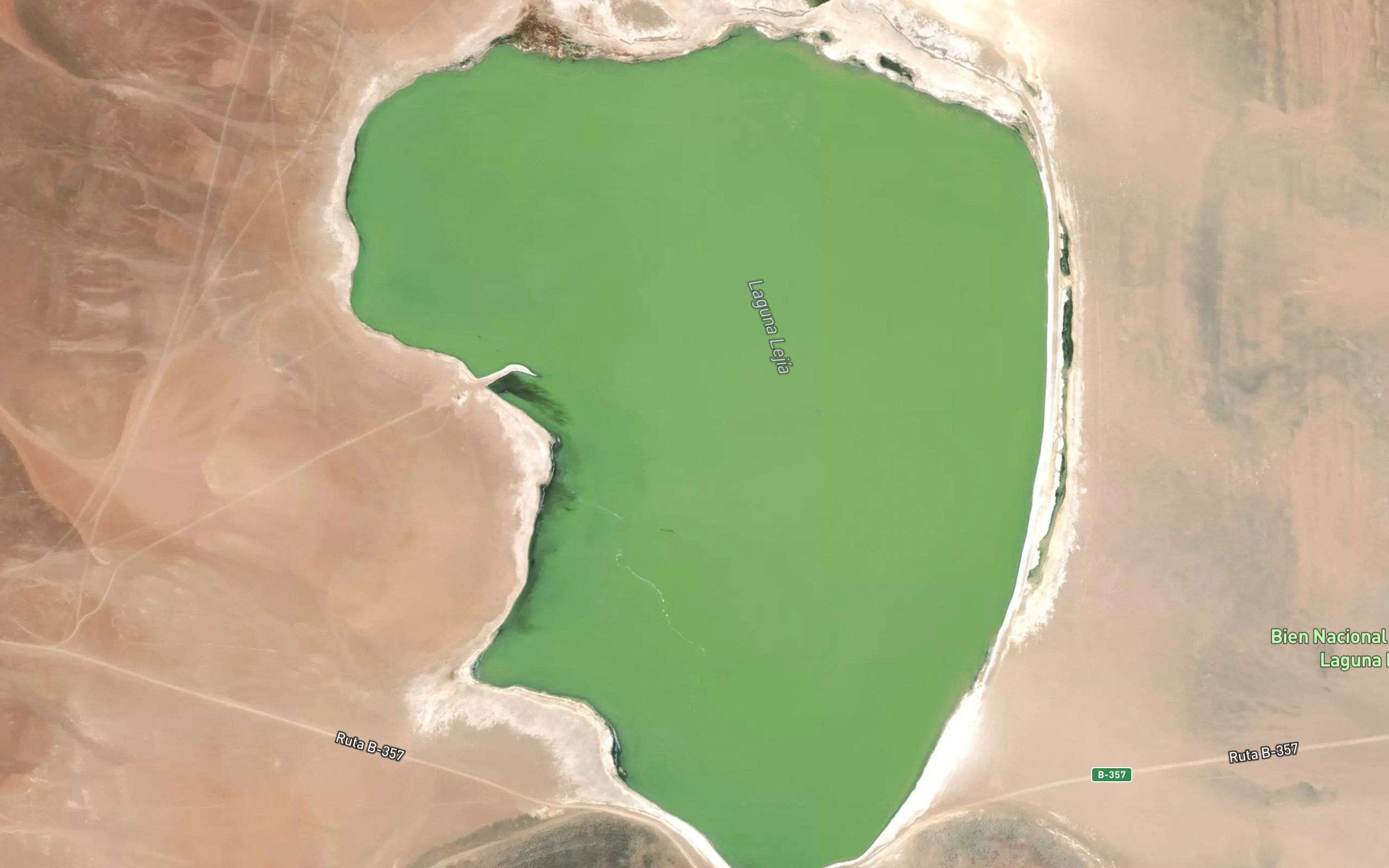 Laguna Lejia