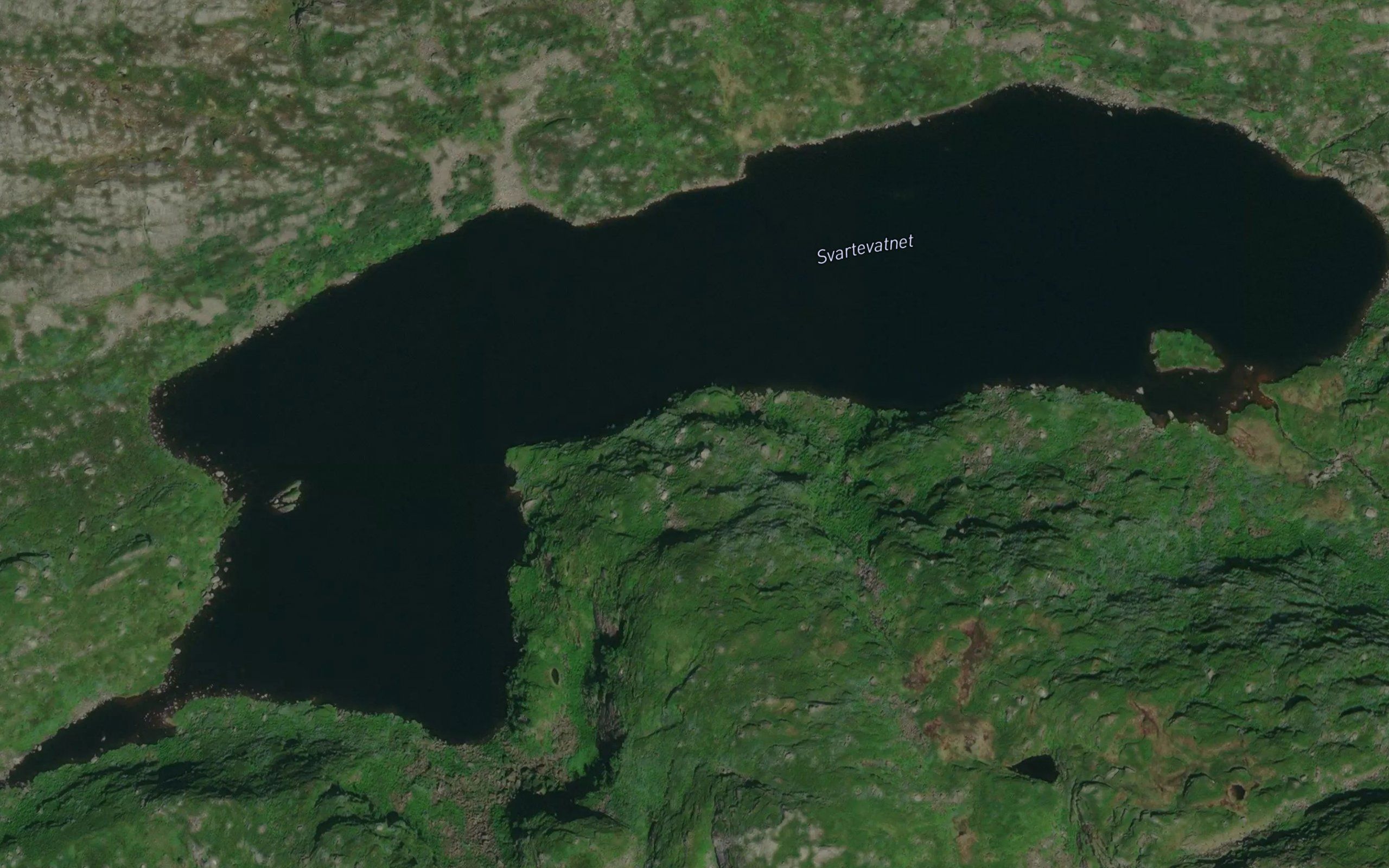Svartevatnet