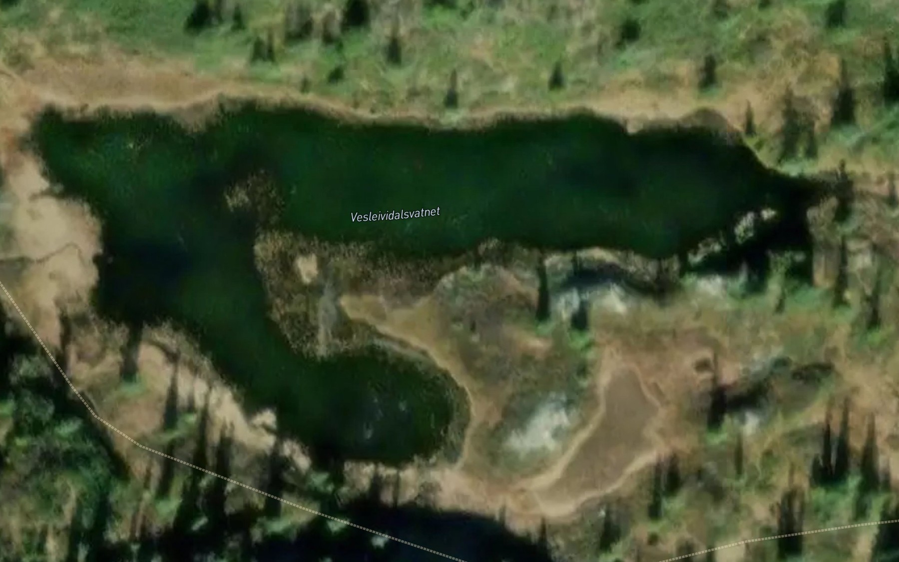 Satellite map of the Vesleividalsvatnet