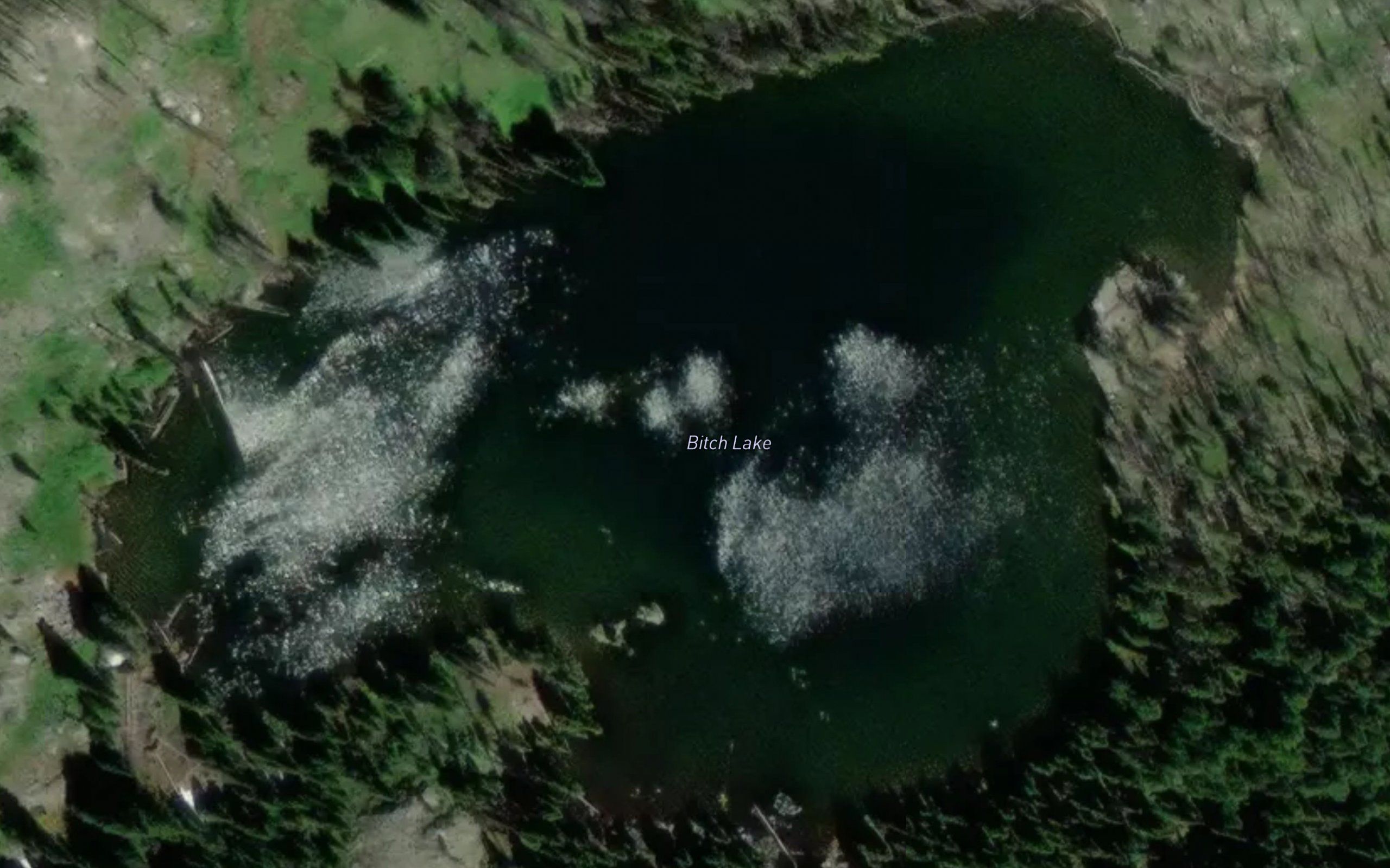 Bitch Lake
