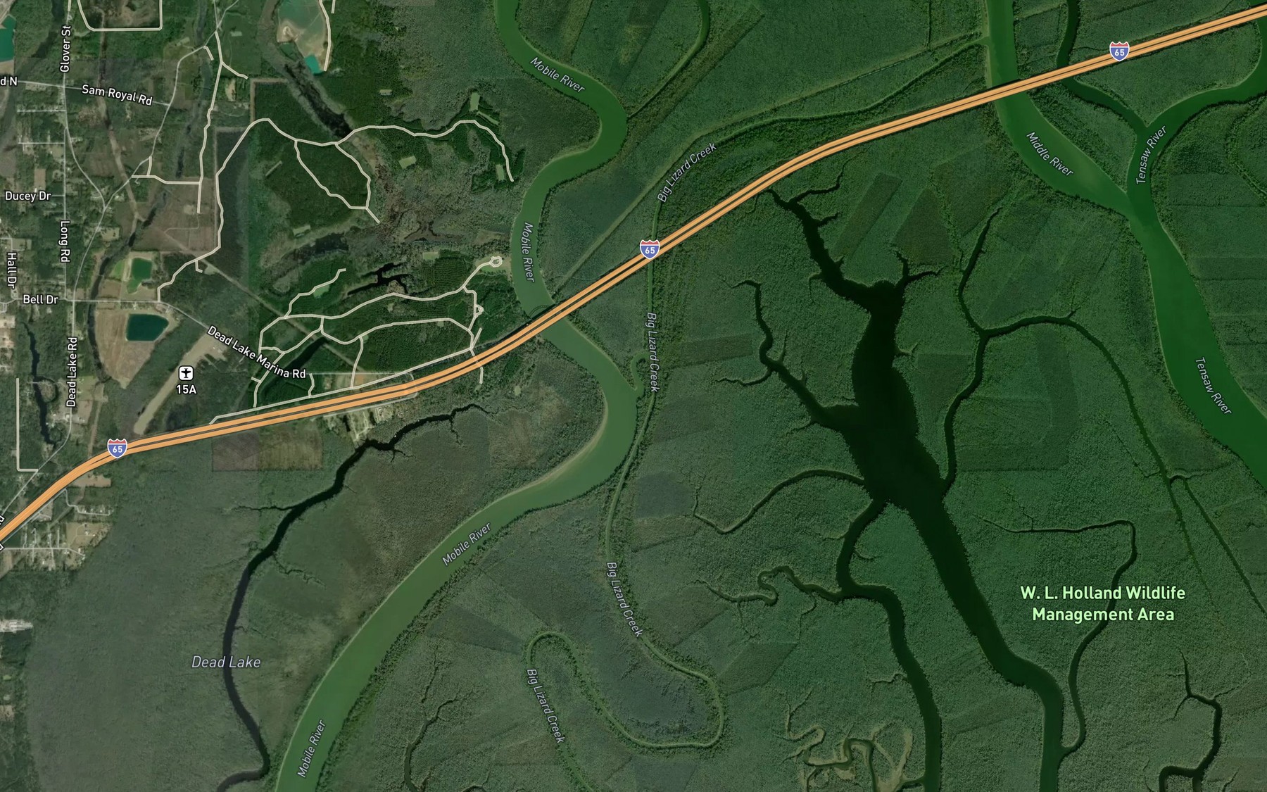 Satellite map of the Little Lizard Creek