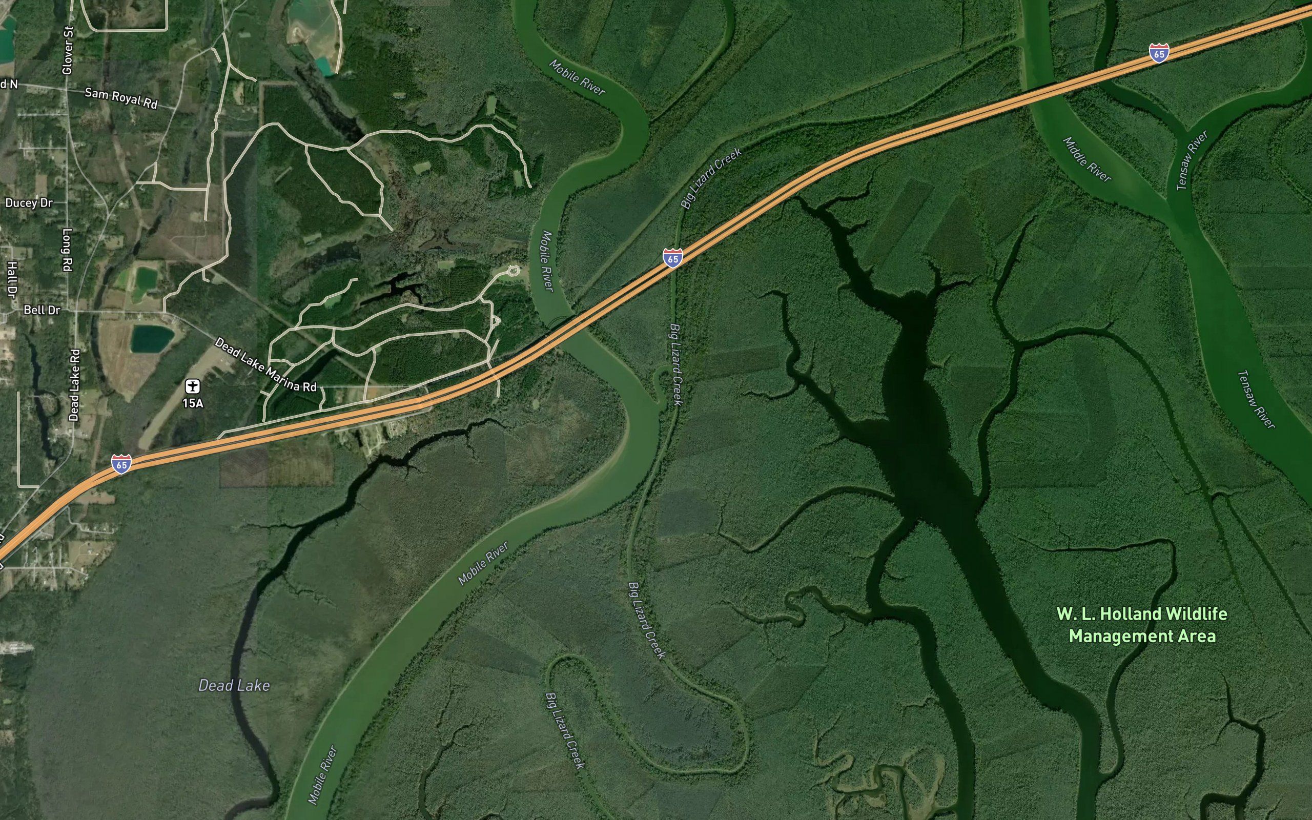 Little Lizard Creek