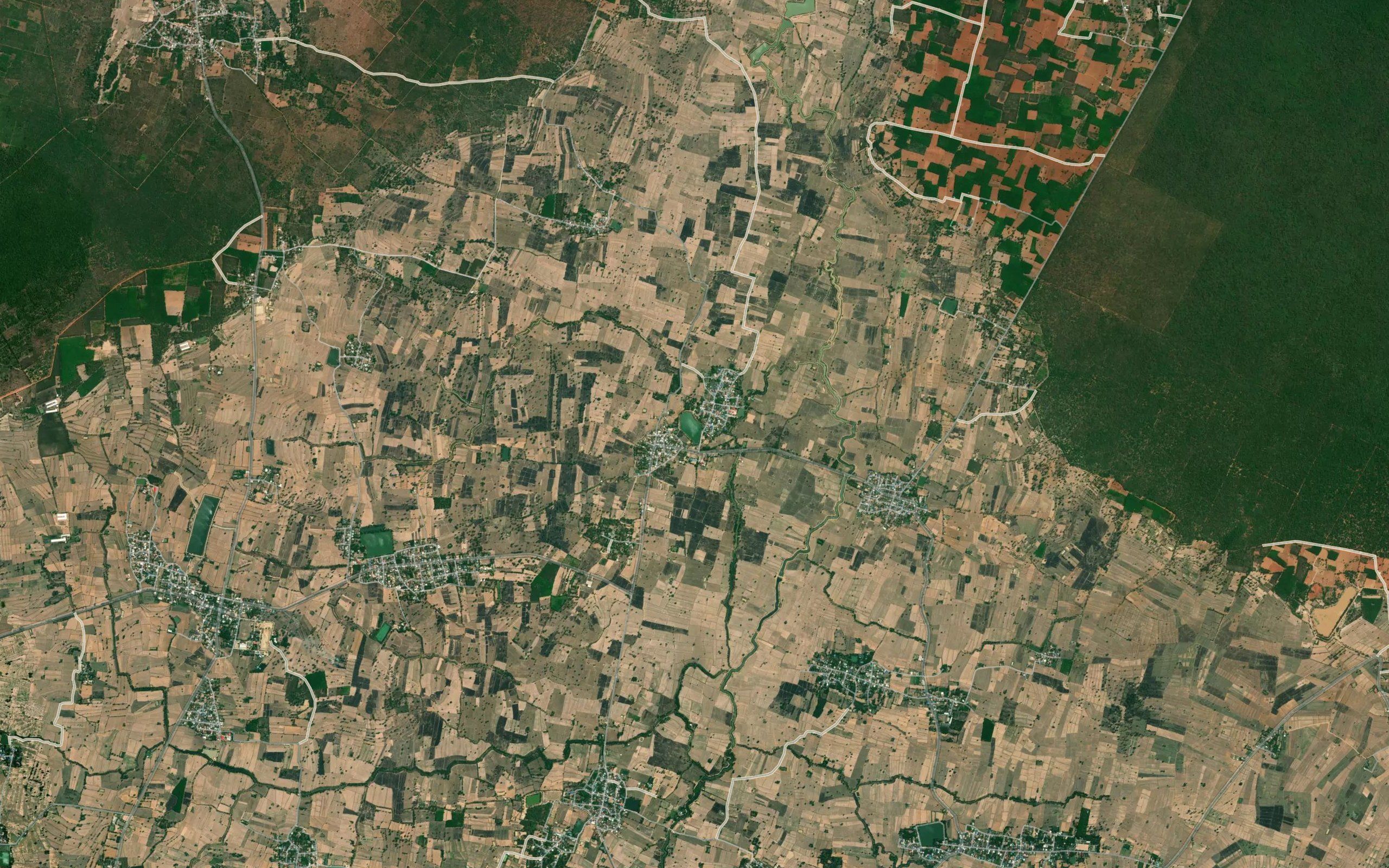 Nong Yai
