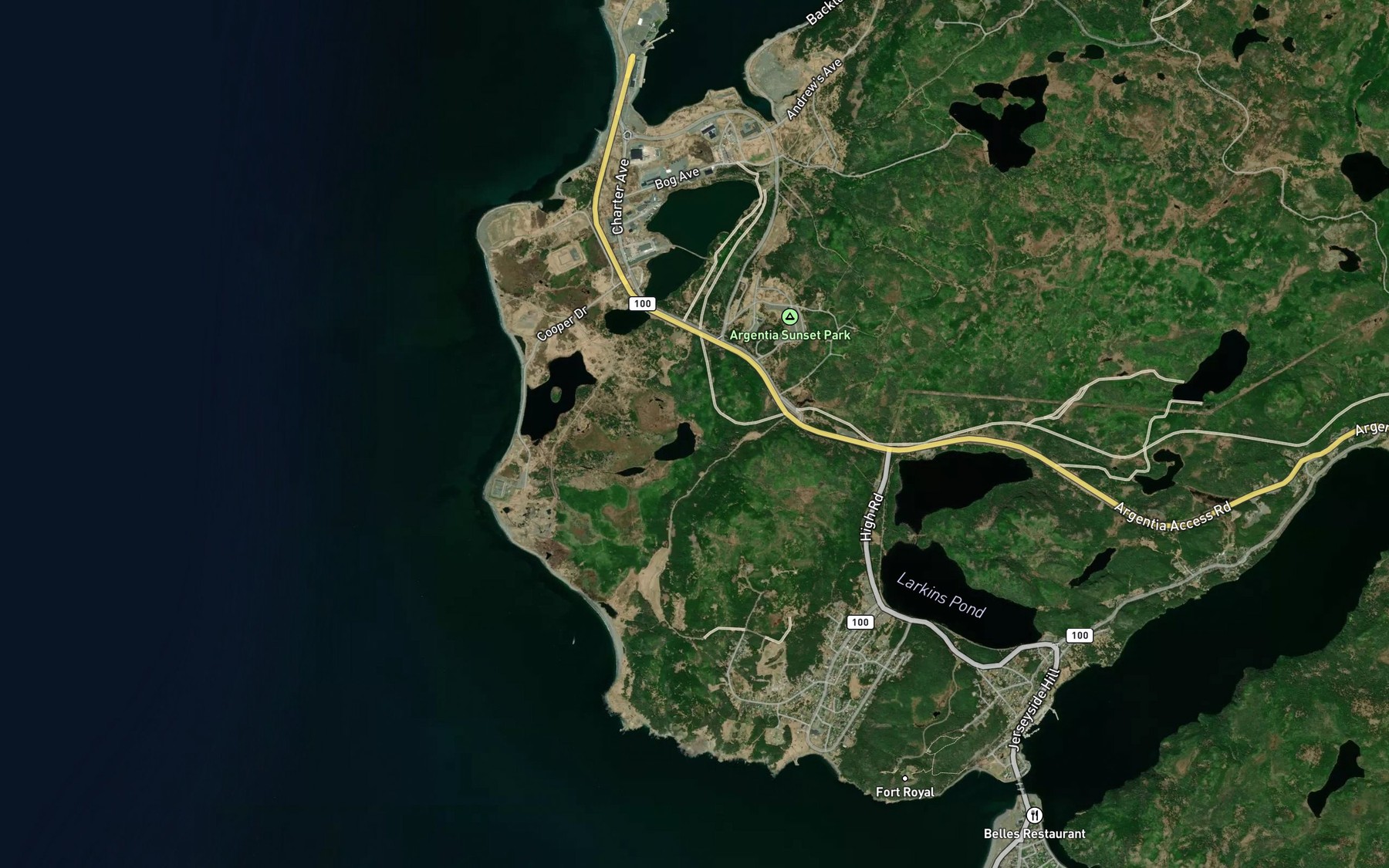 Satellite map of the Cummings Pond