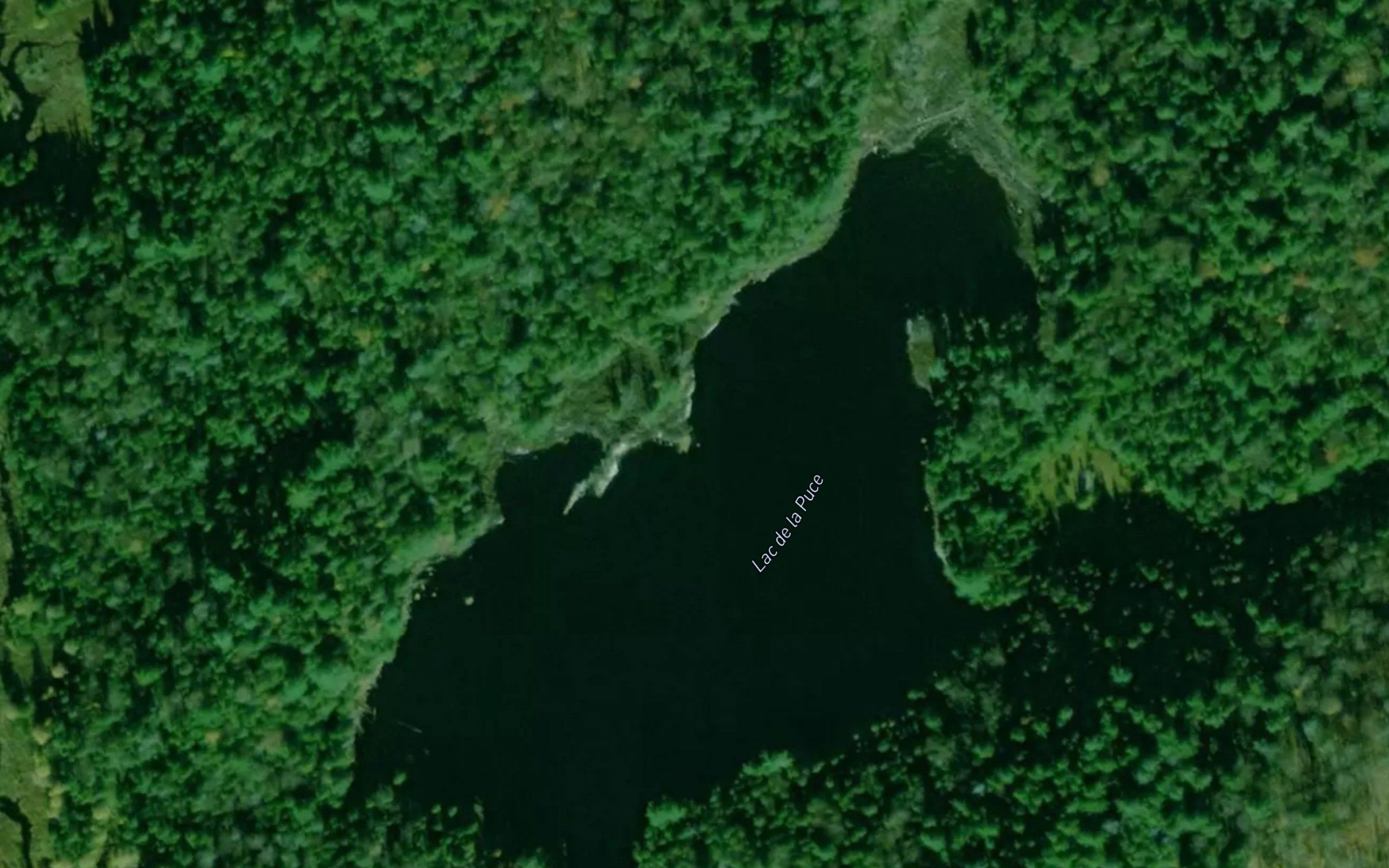 Lac de la Puce