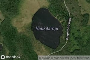 Haukilampi