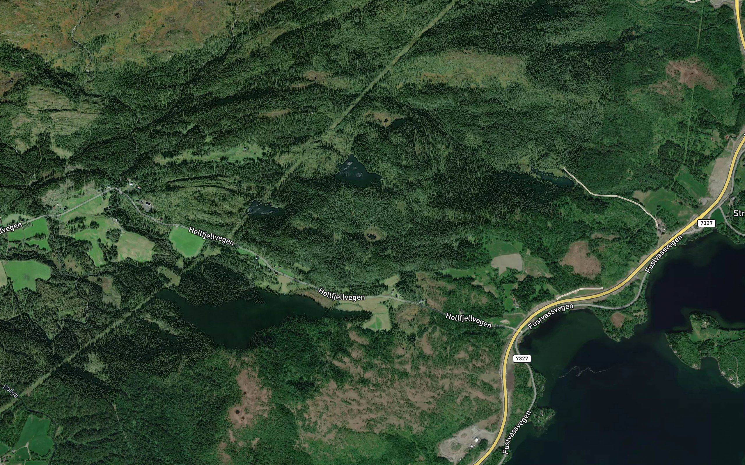 Torvtjorna