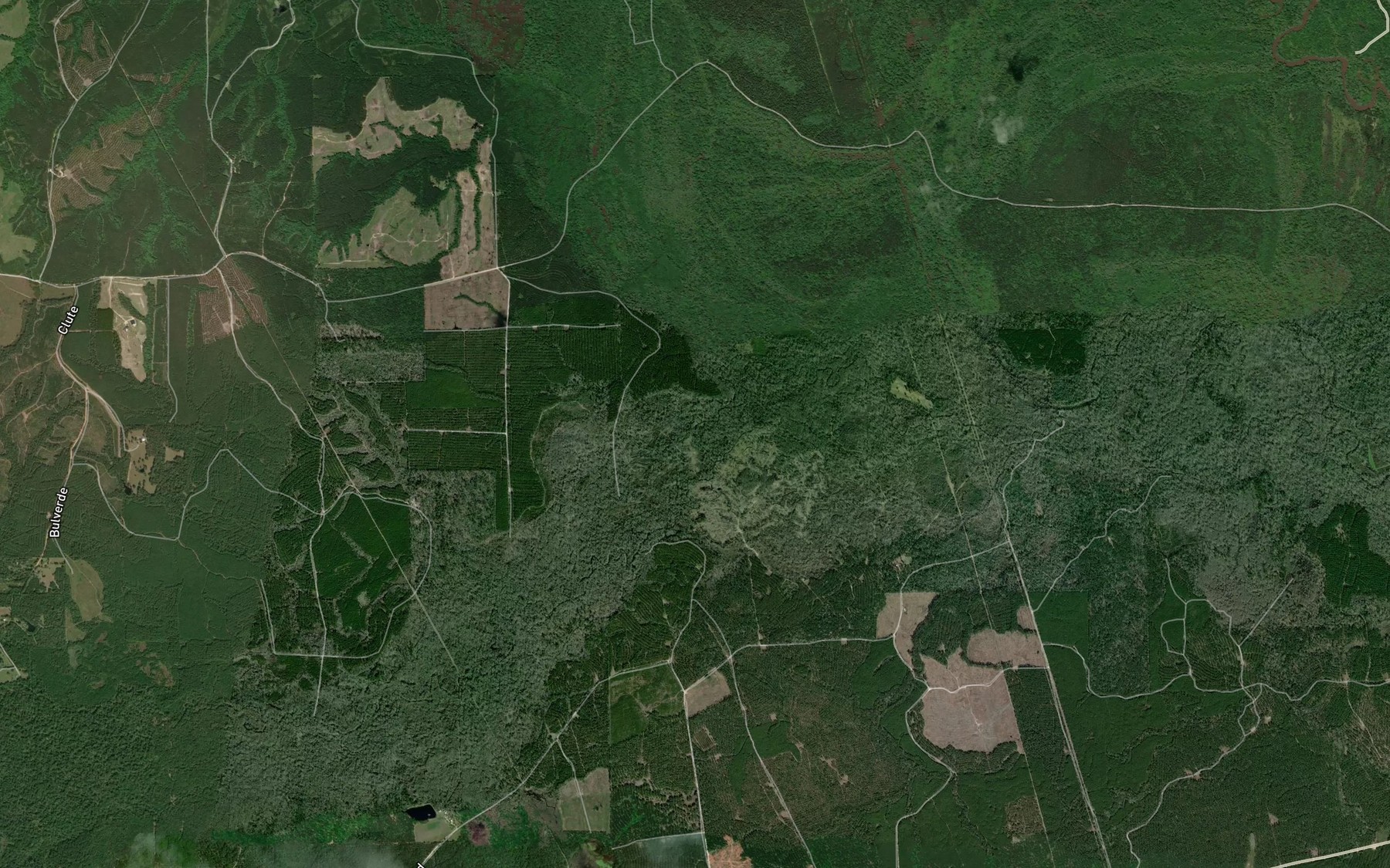 Satellite map of the Jones Branch