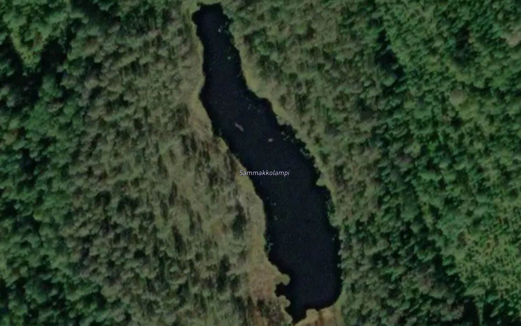 Satellite map of the Sammakkolampi