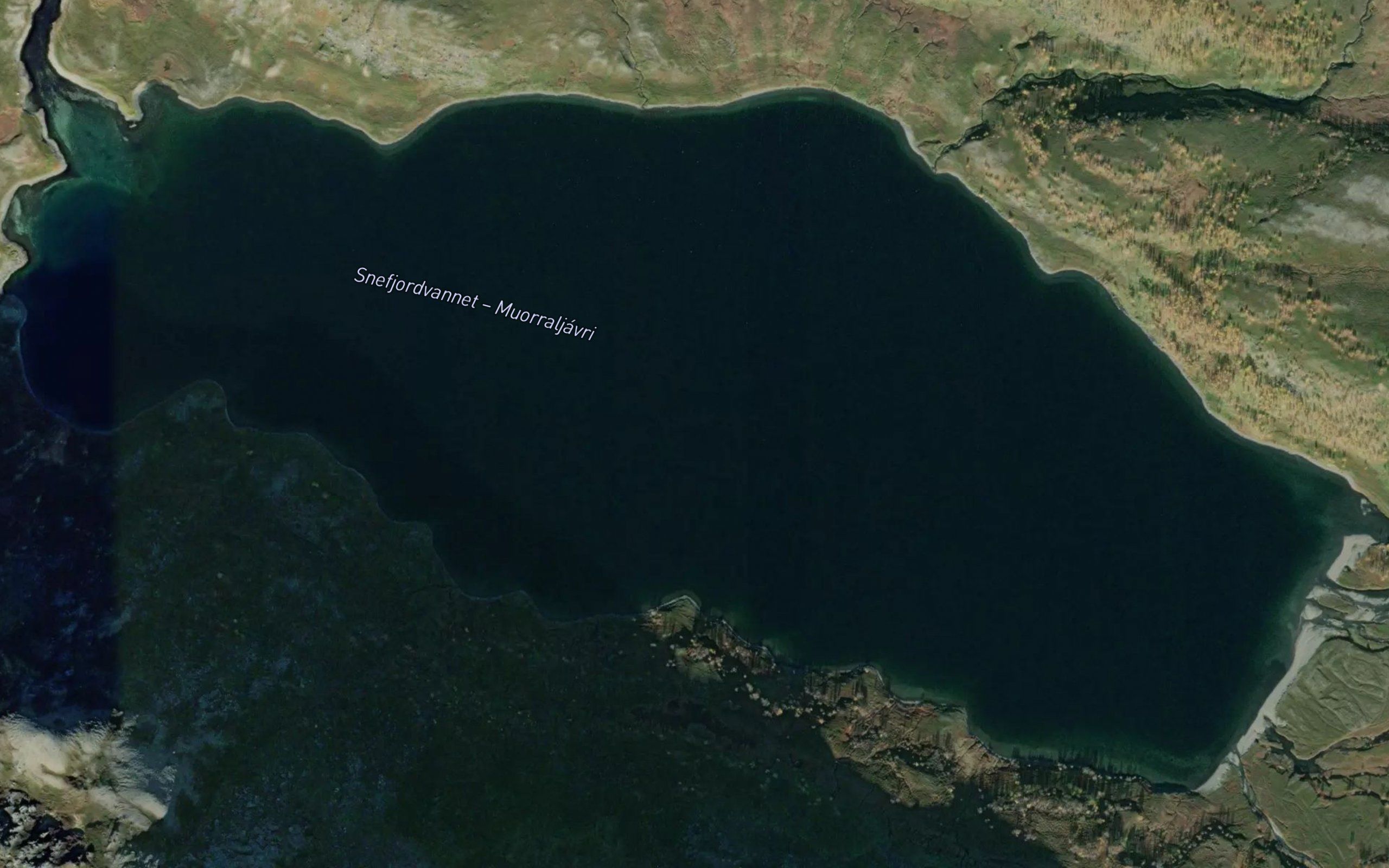 Muorraljavri