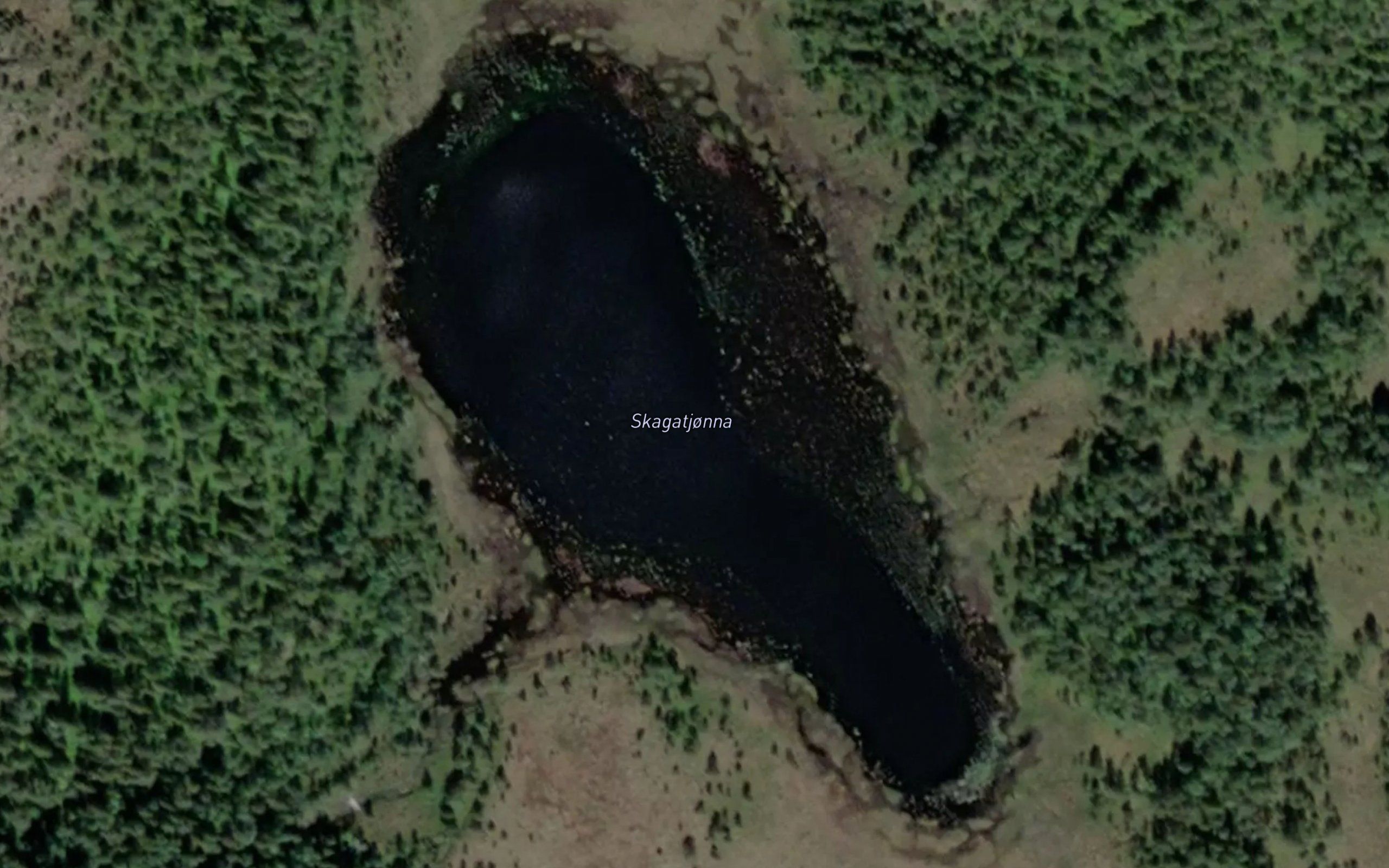 Skagatjorna