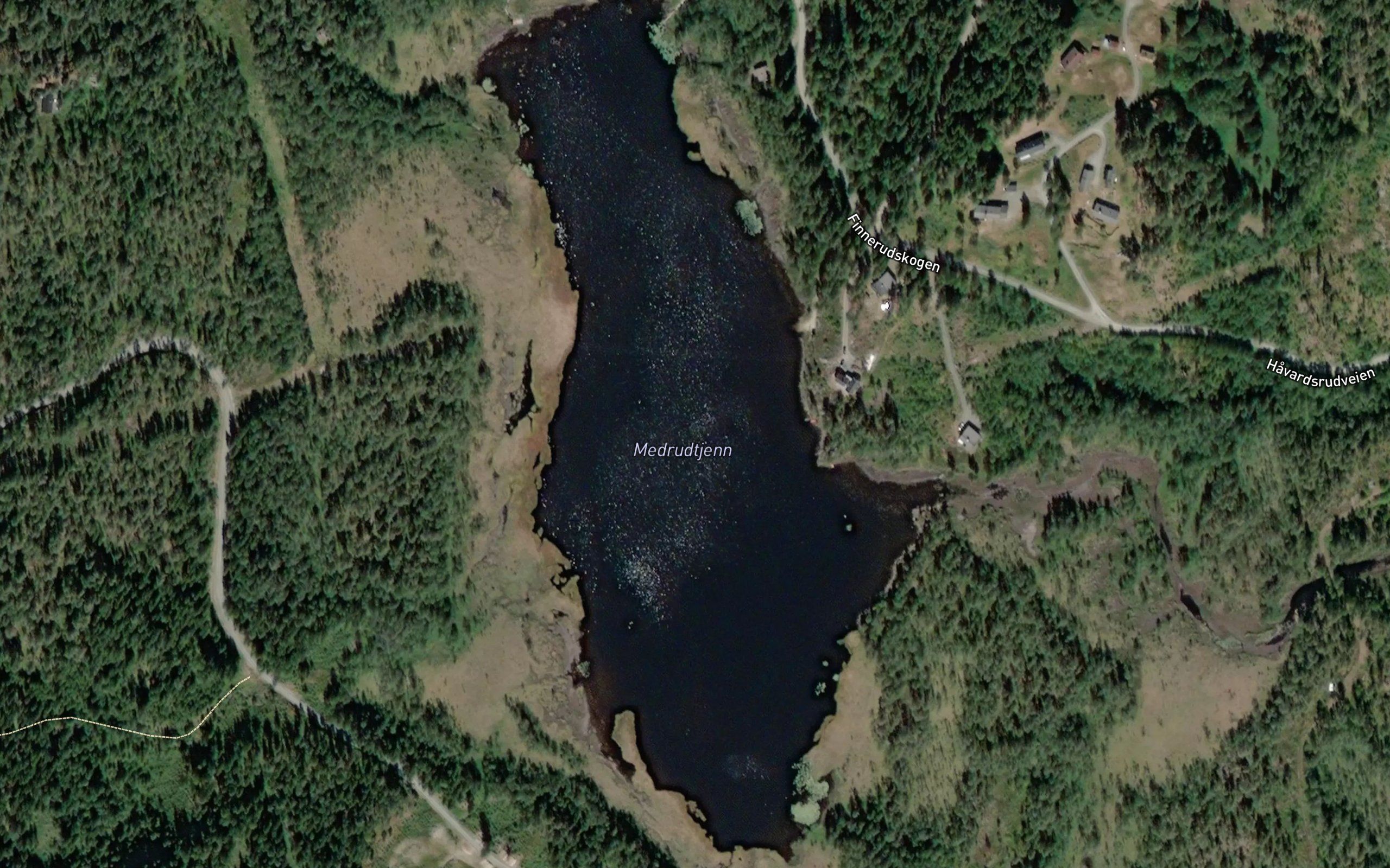 Medrudtjernet