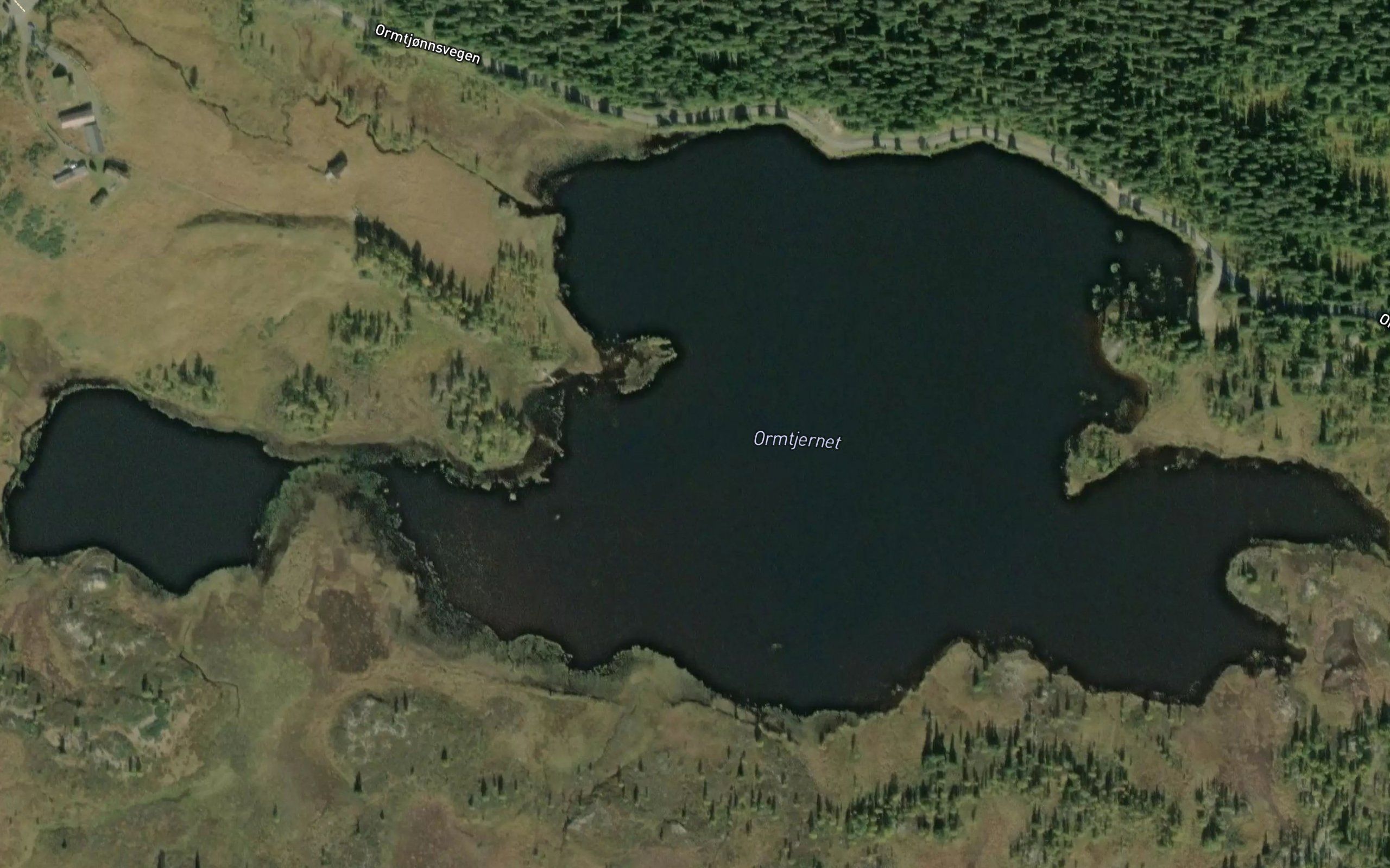 Ormtjornet