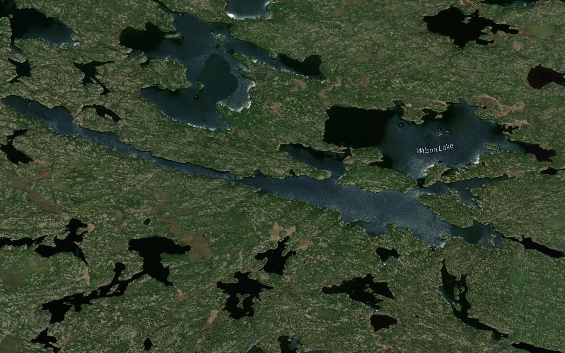 Satellite map of the Wilson Lake