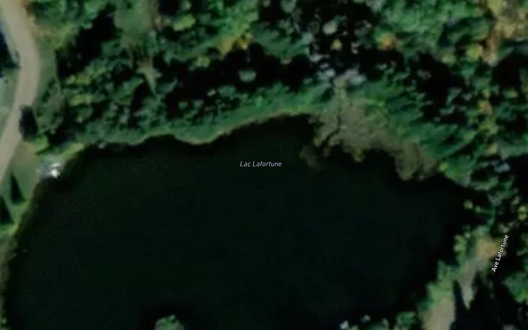 Satellite map of the Lac Lafortune