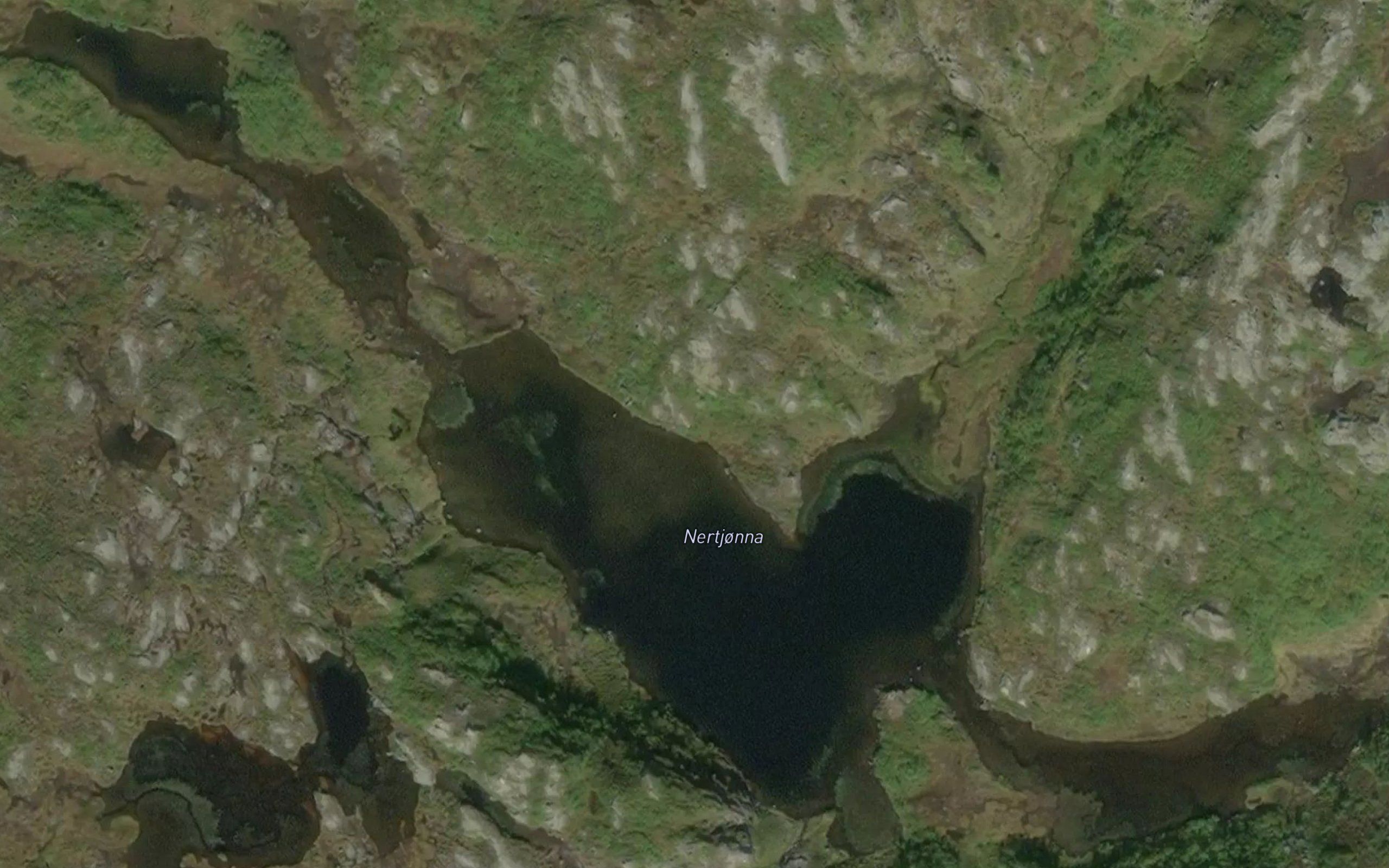 Nertjorna