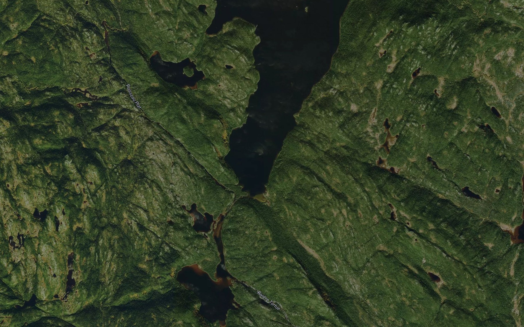 Satellite map of the Ruisseau Plat