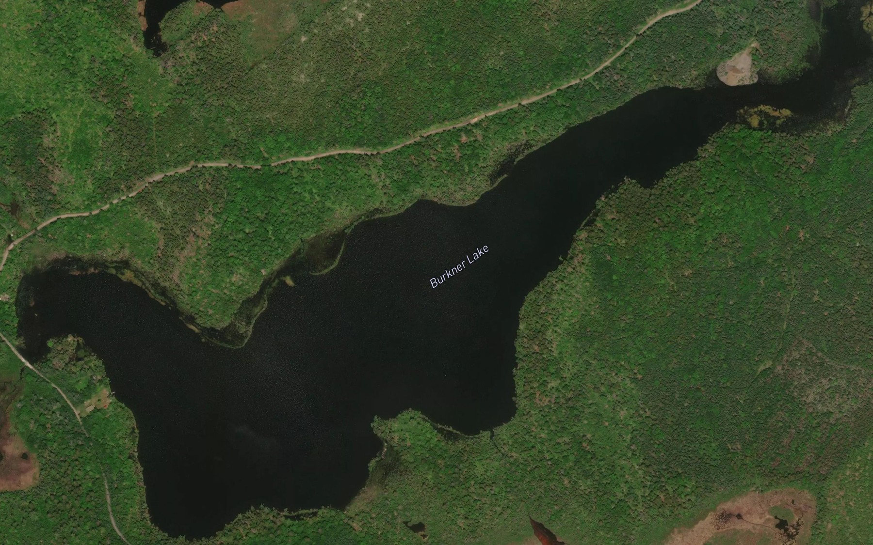 Satellite map of the Burkner Lake