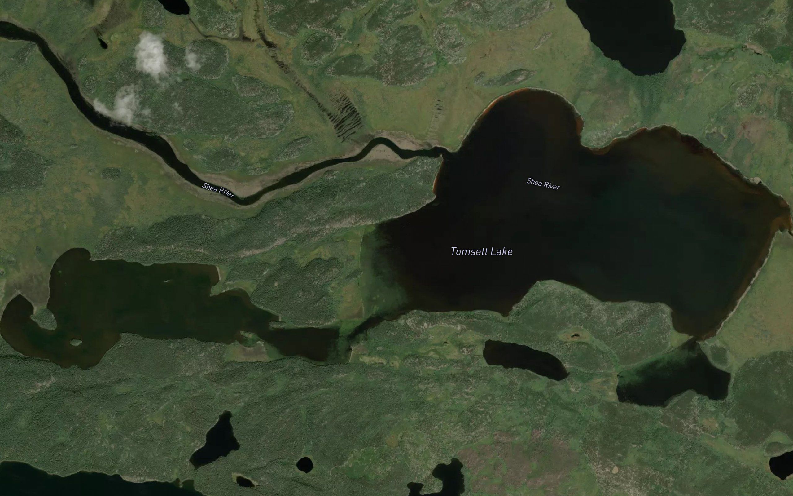 Tomsett Lake