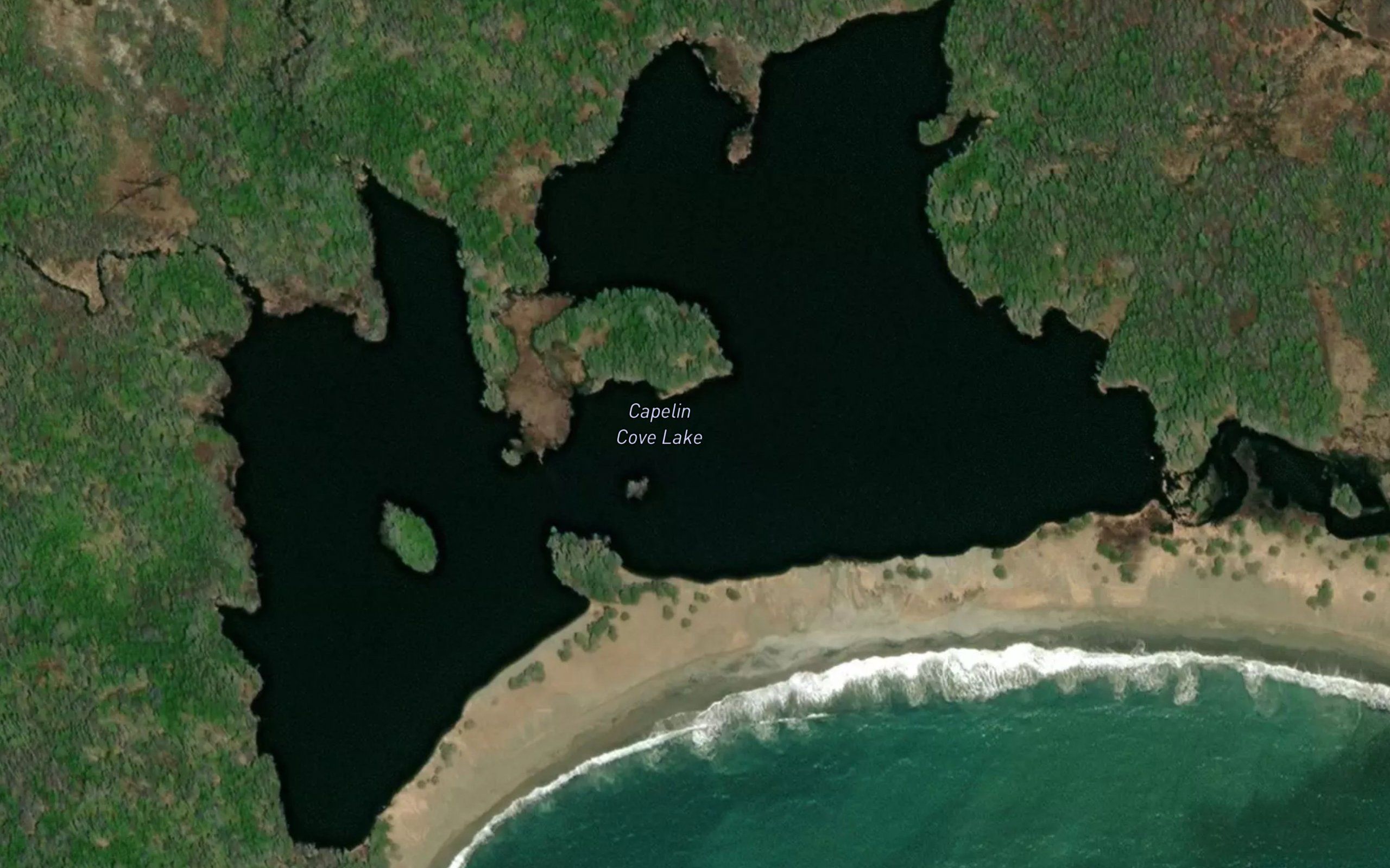 Capelin Cove Lake