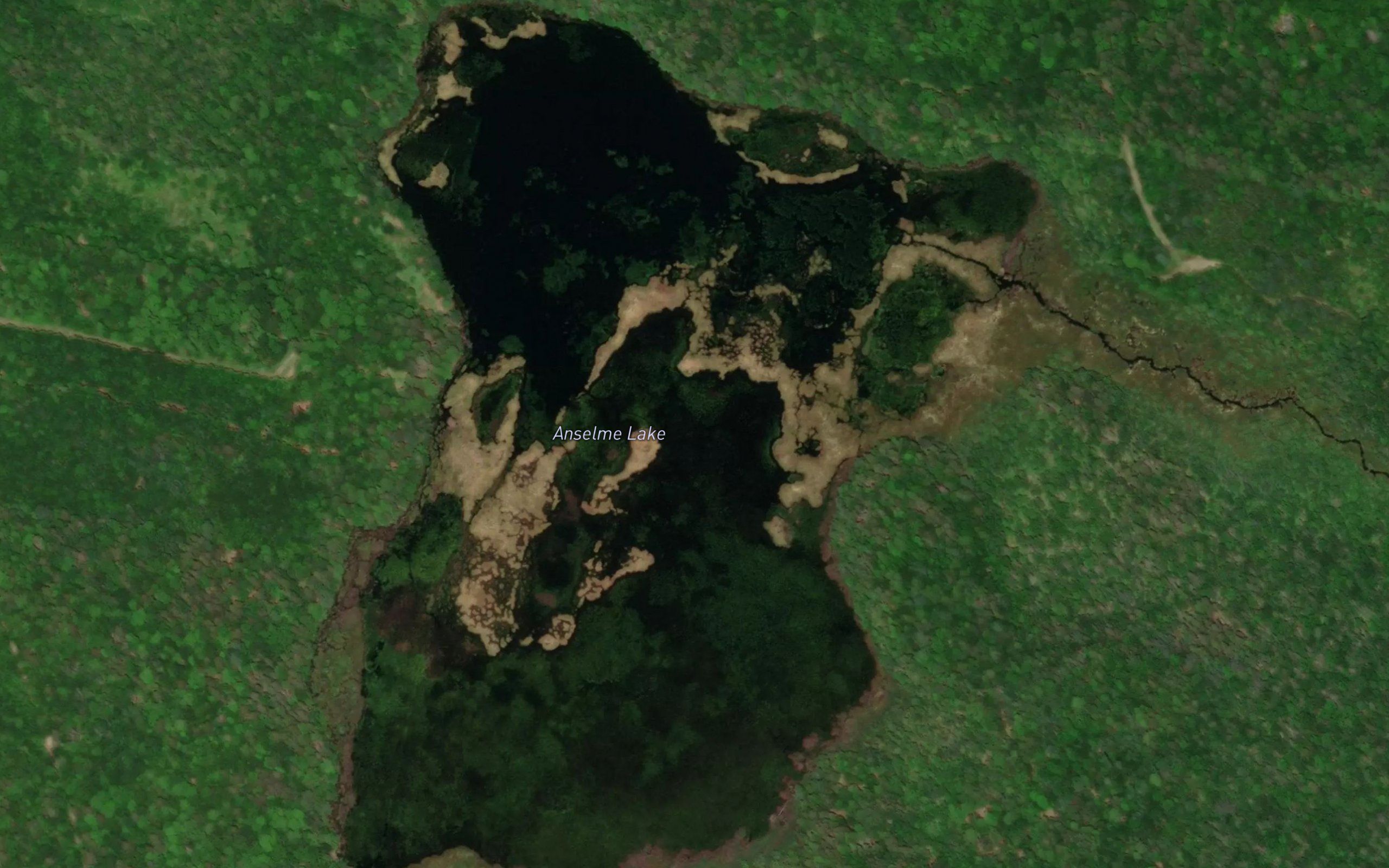 Anselme Lake