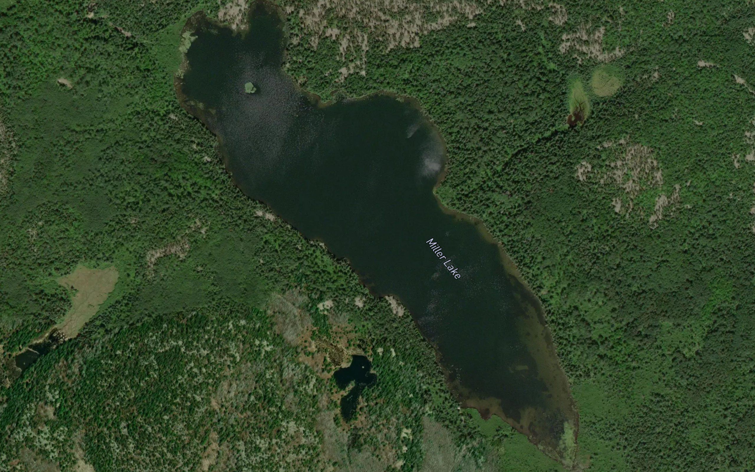Miller Lake