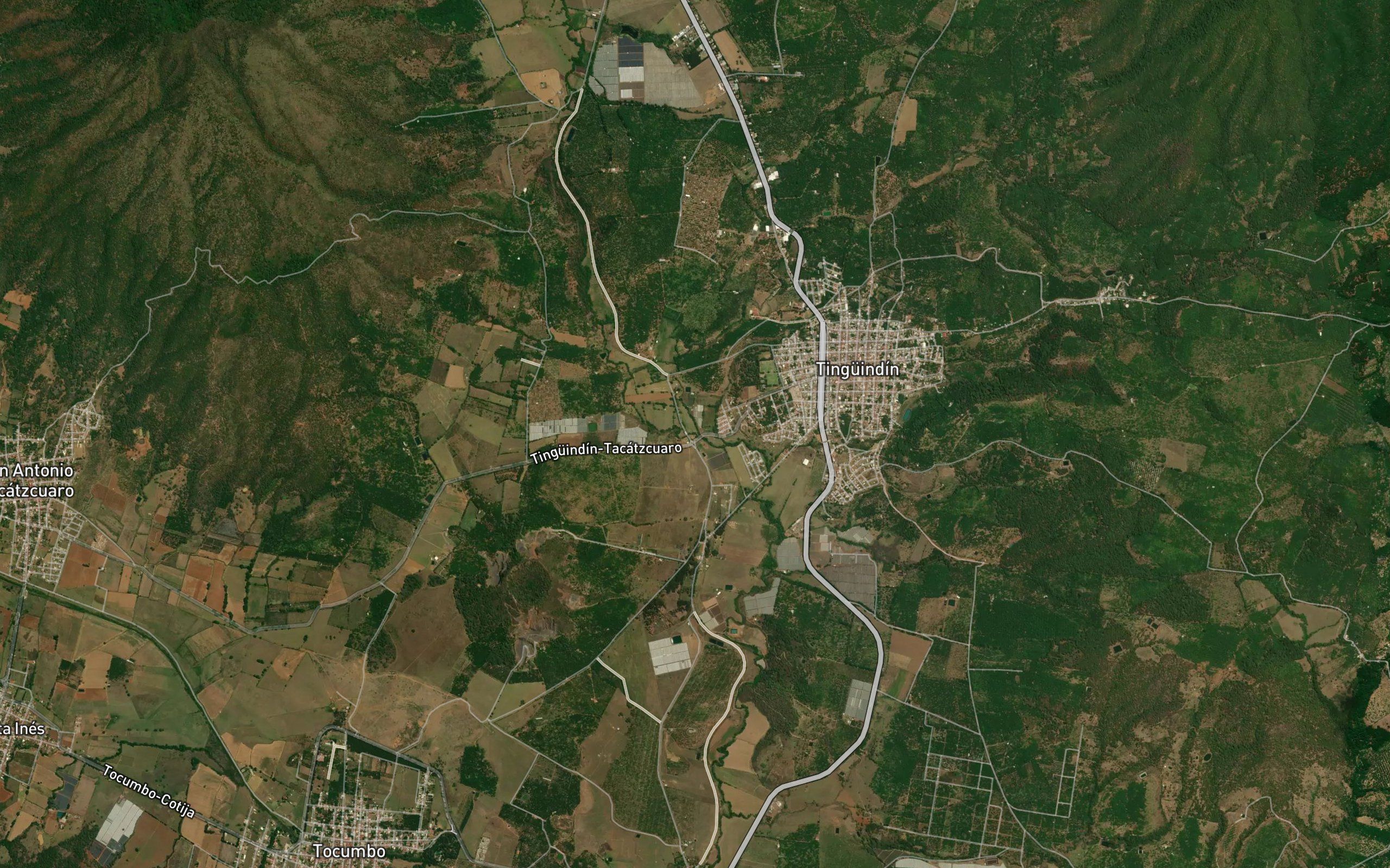 Guascuaro