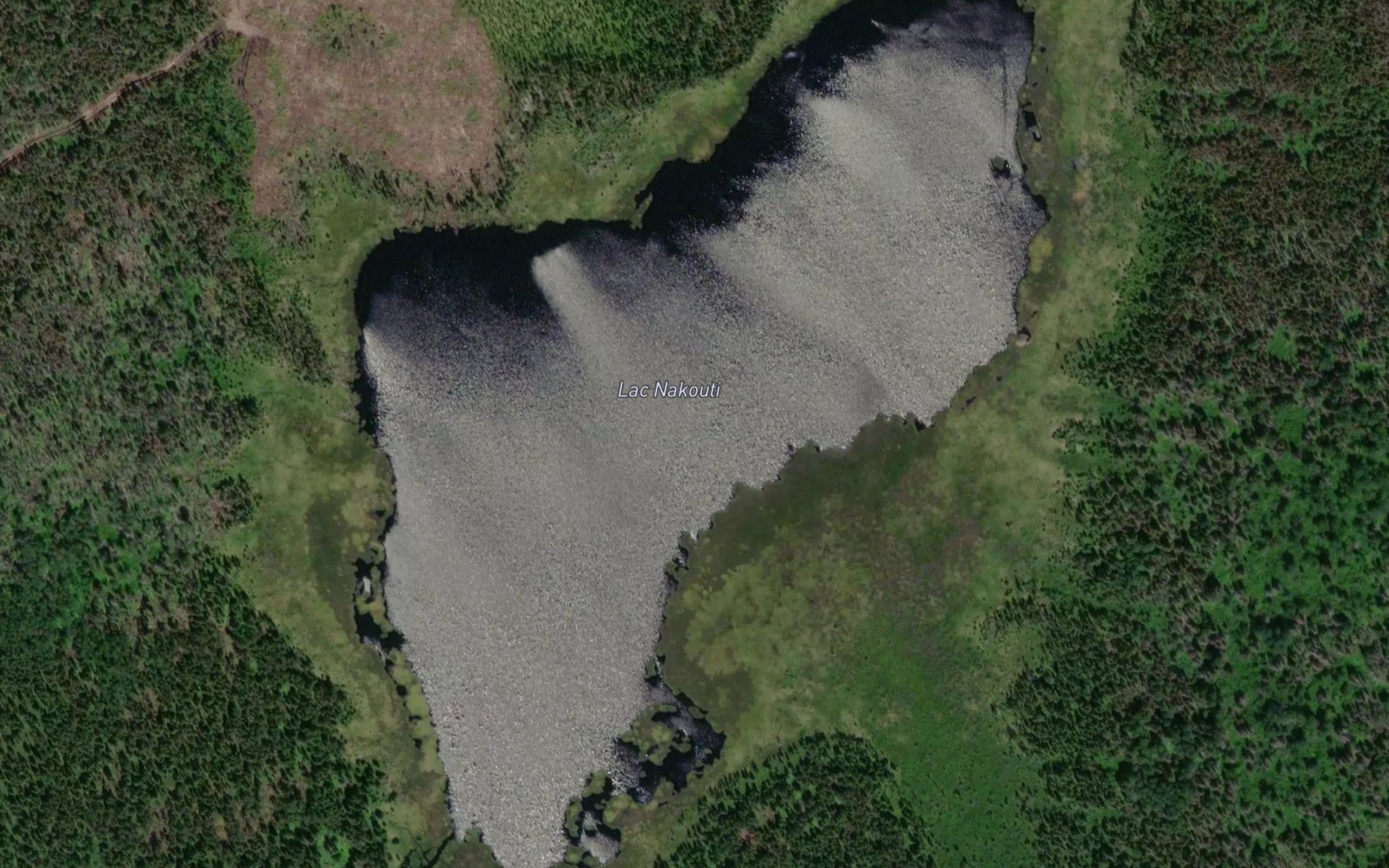 Satellite map of the Lac Nakouti