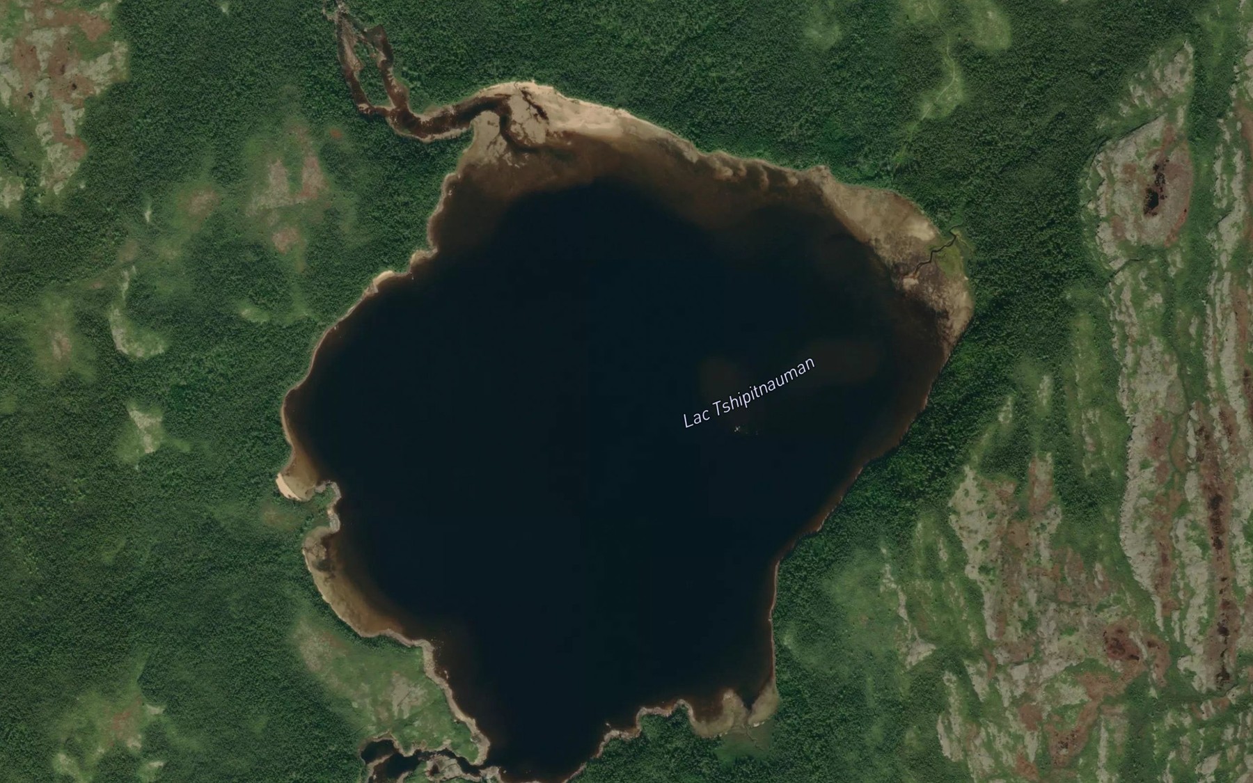 Satellite map of the Lac Tshipitnauman