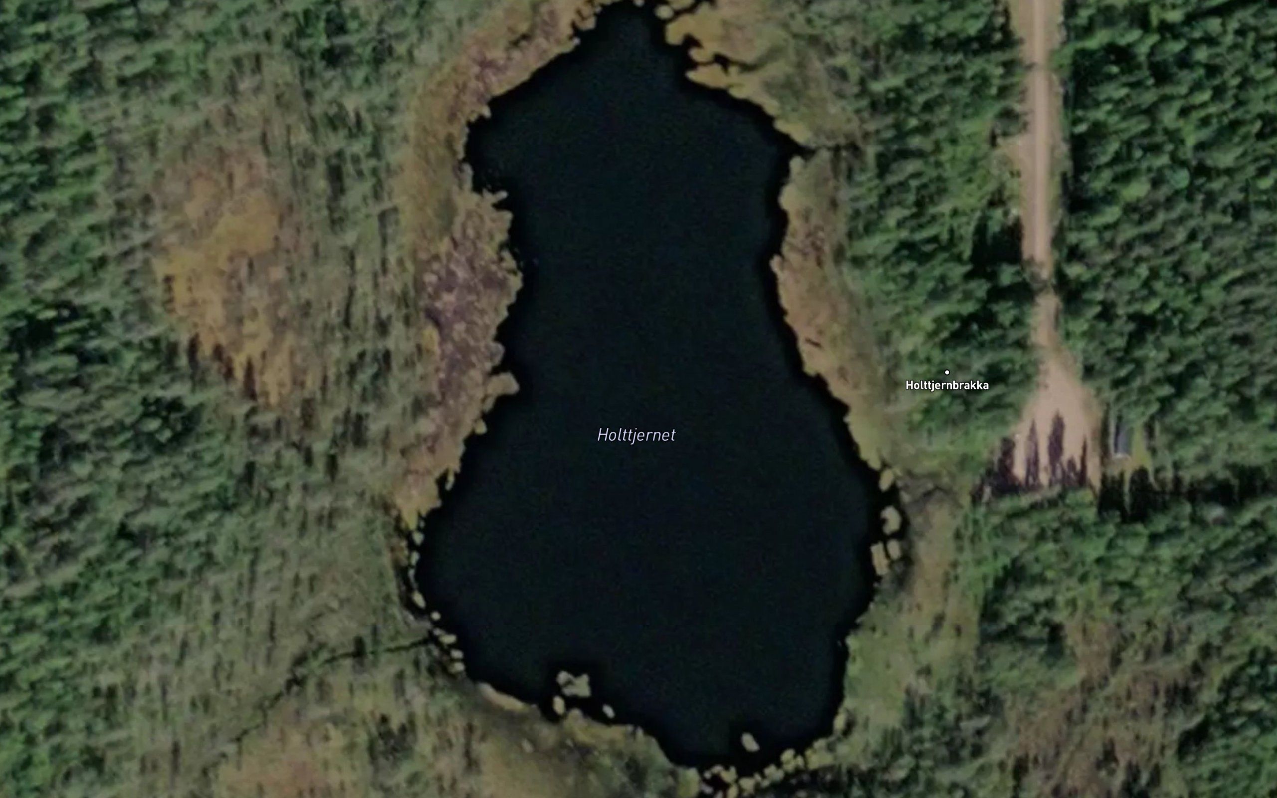 Holttjernet