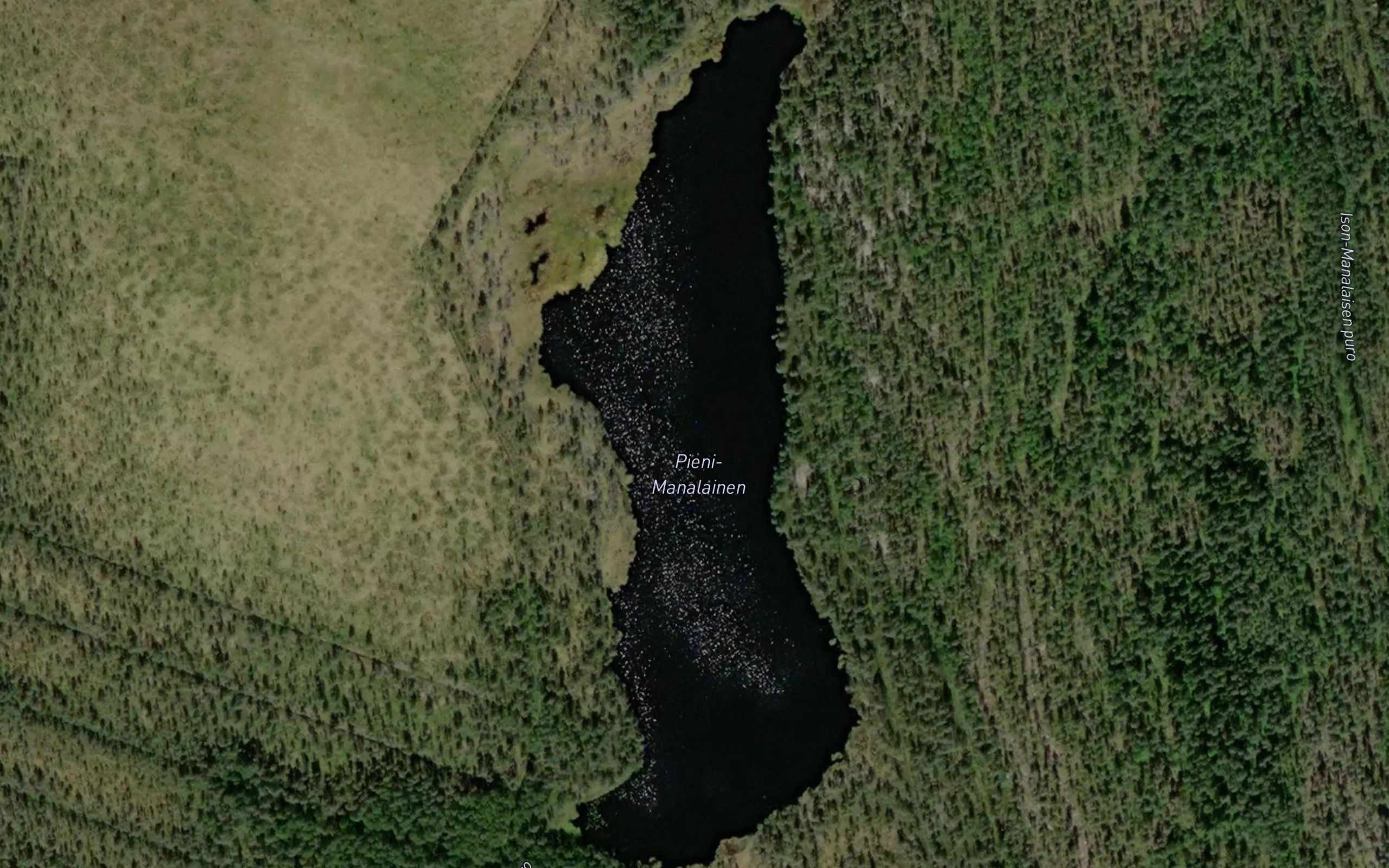 Pieni-Manalainen