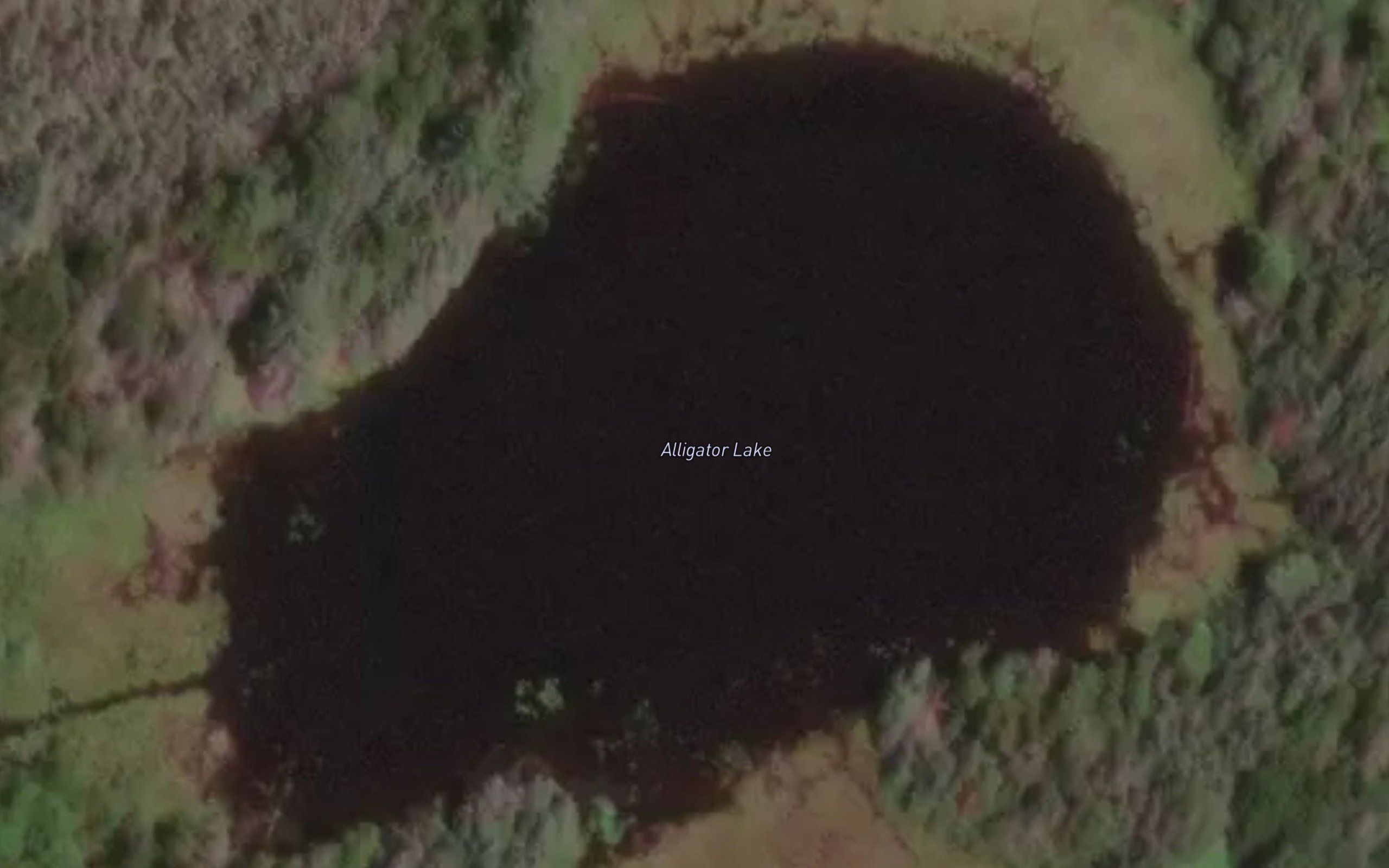 Alligator Lake