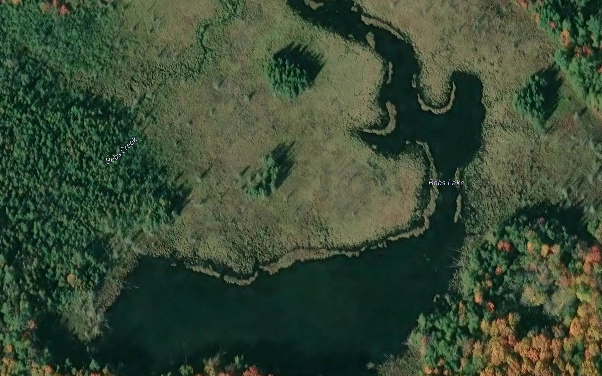 Bobs Lake
