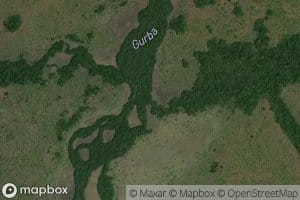 Anau