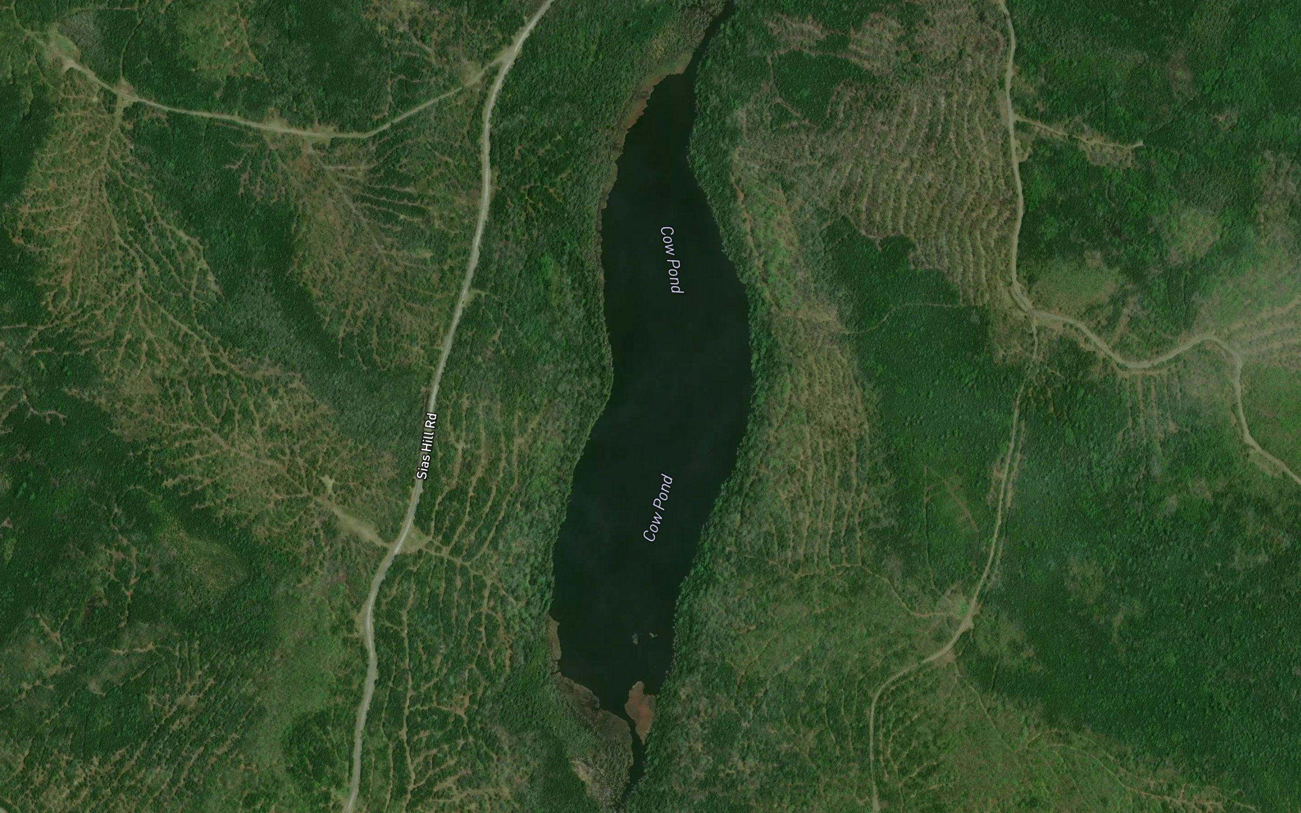 Cow Pond