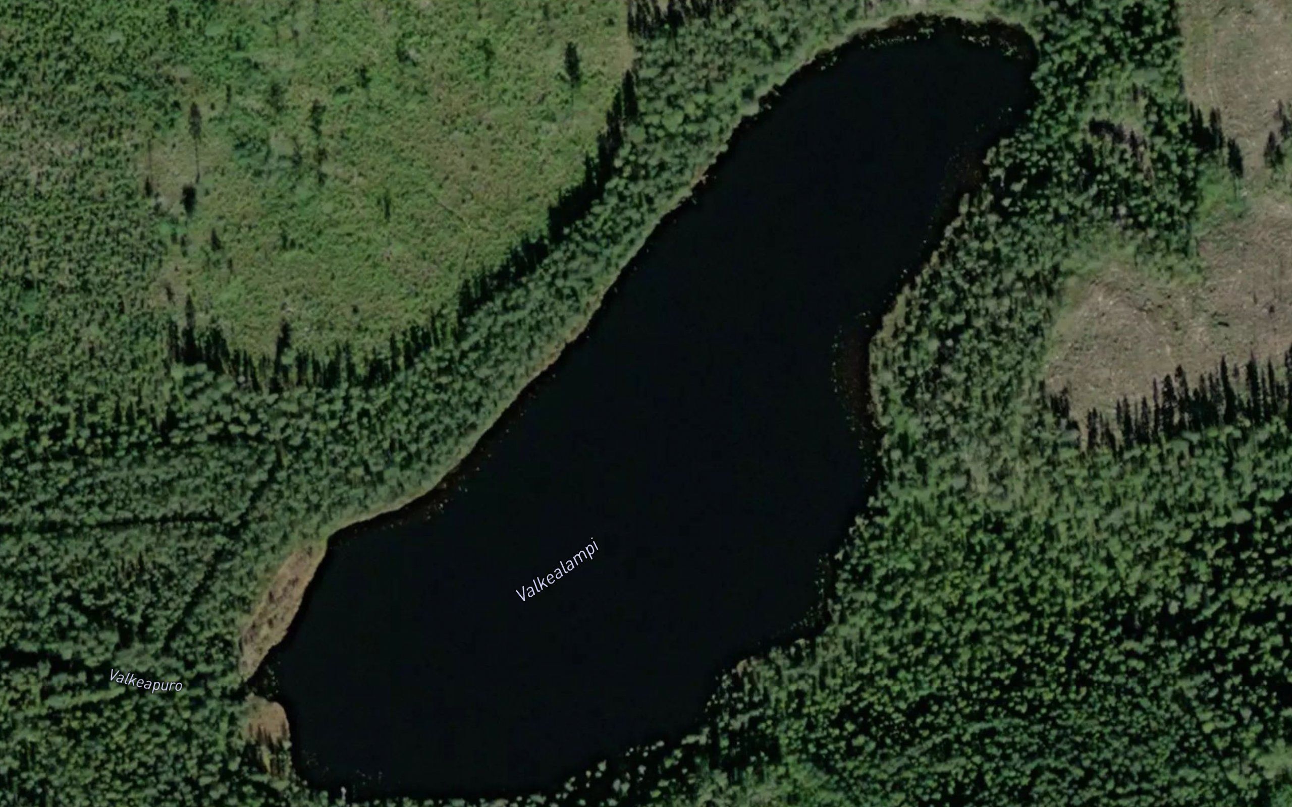 Valkealampi