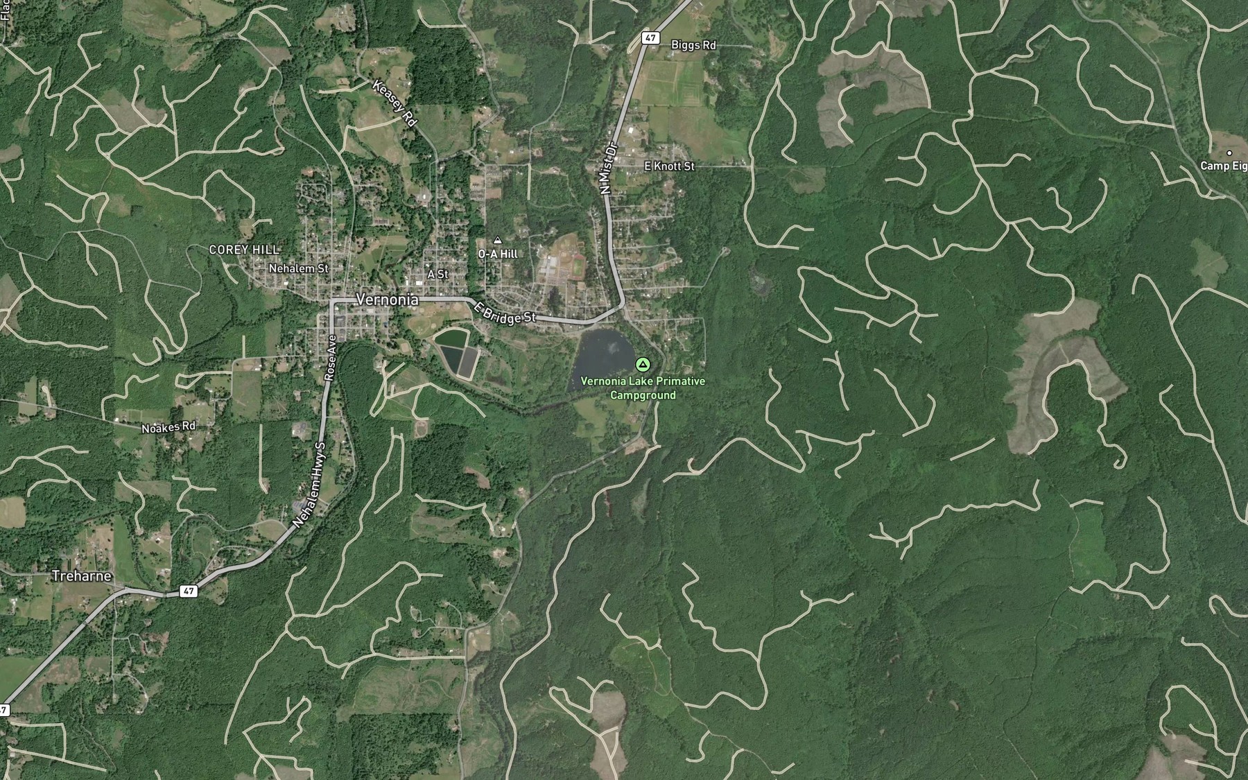 Satellite map of the Pebble Creek