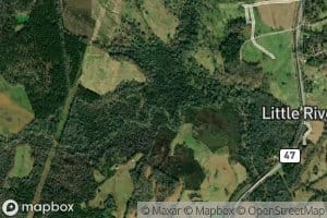 Beaverdam Creek