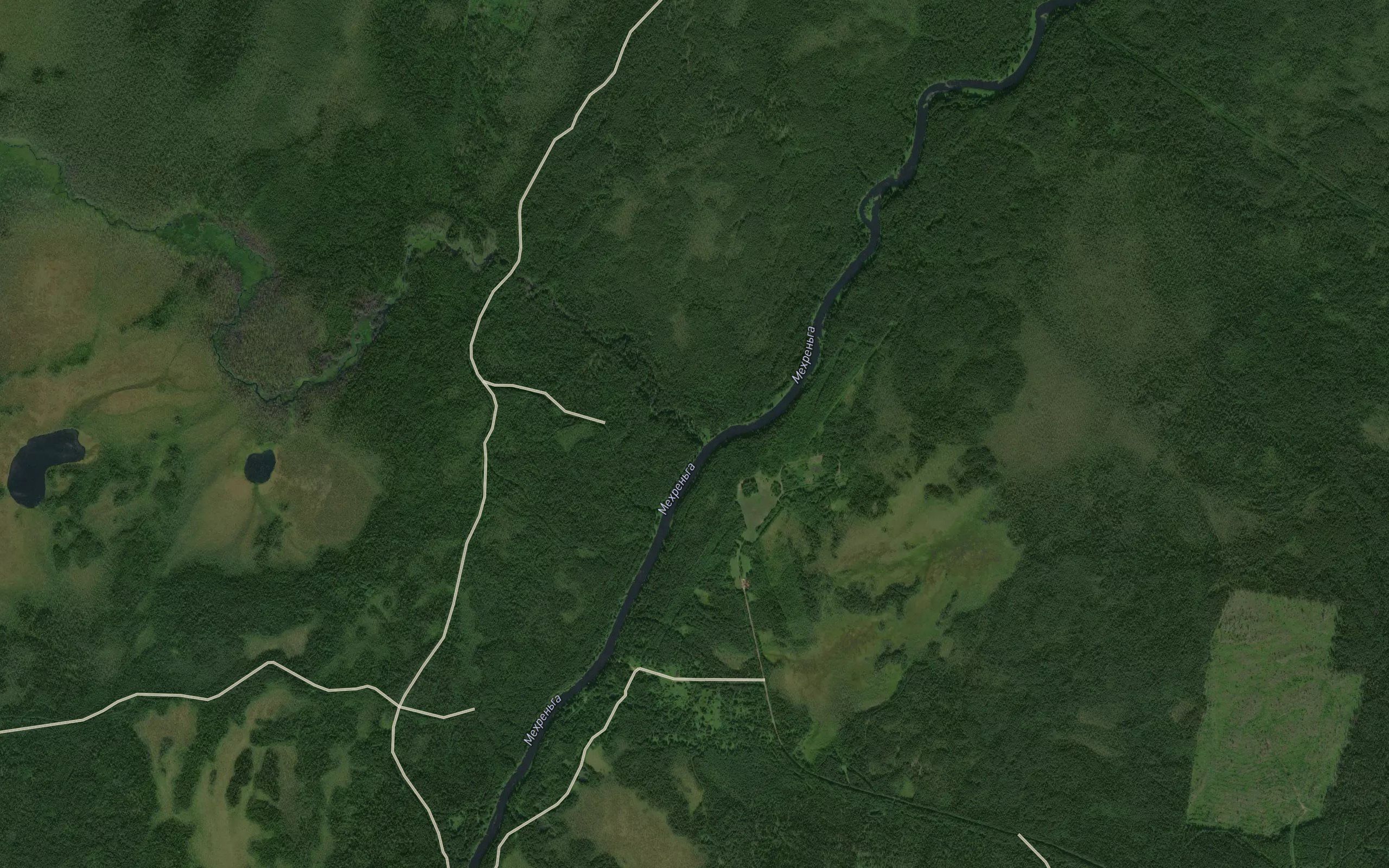 Tavna