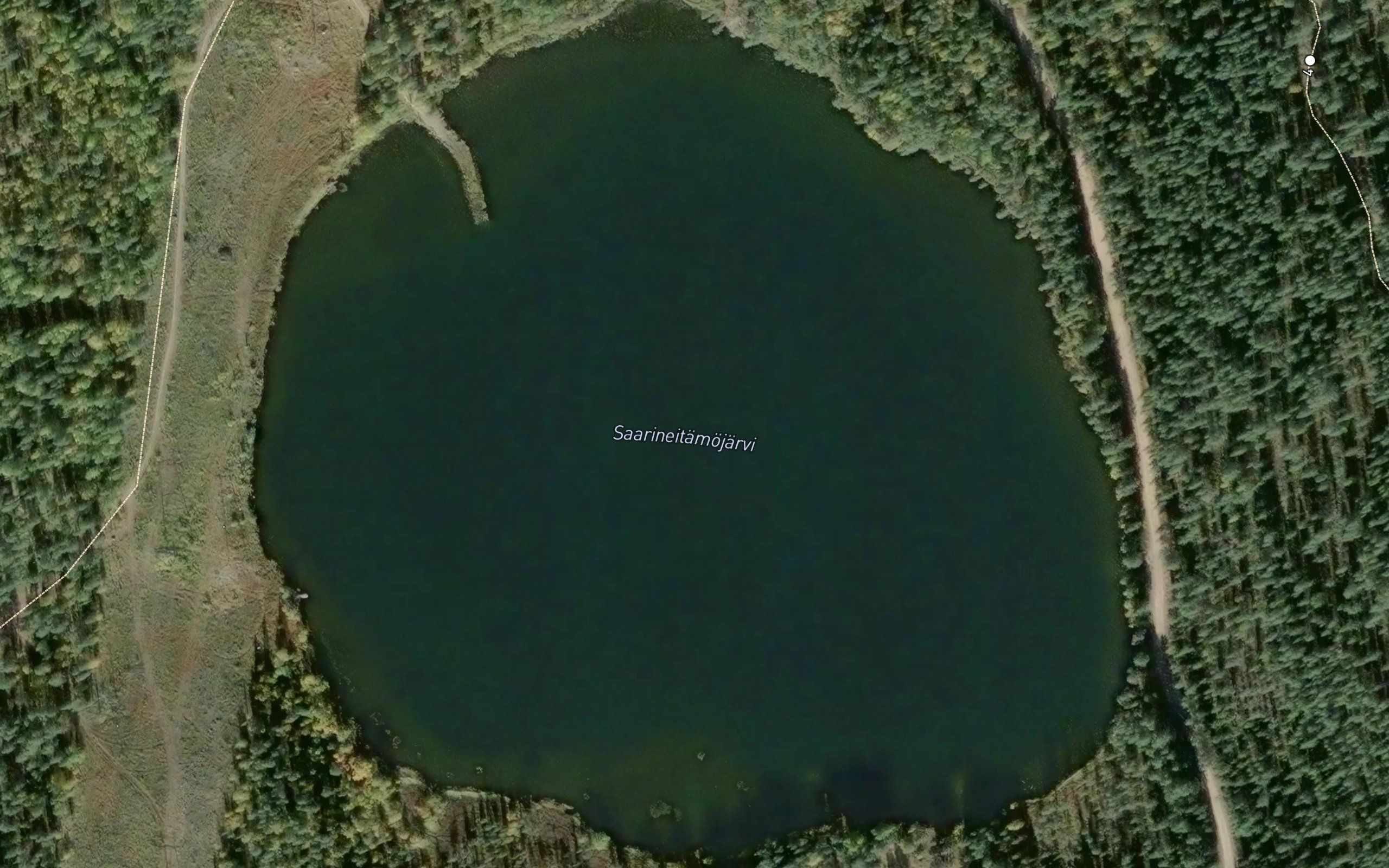 Saarineitamojarvi