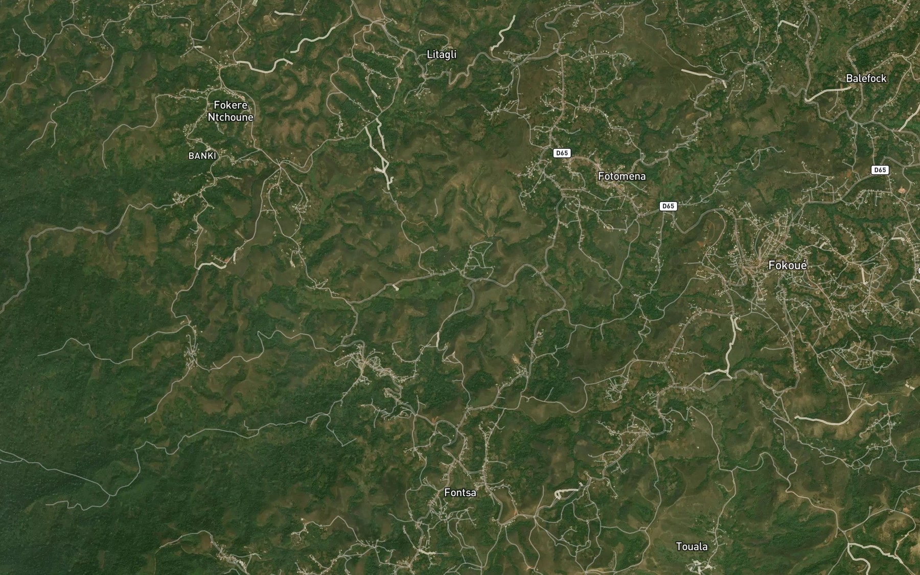 Satellite map of the Tsenlawouo