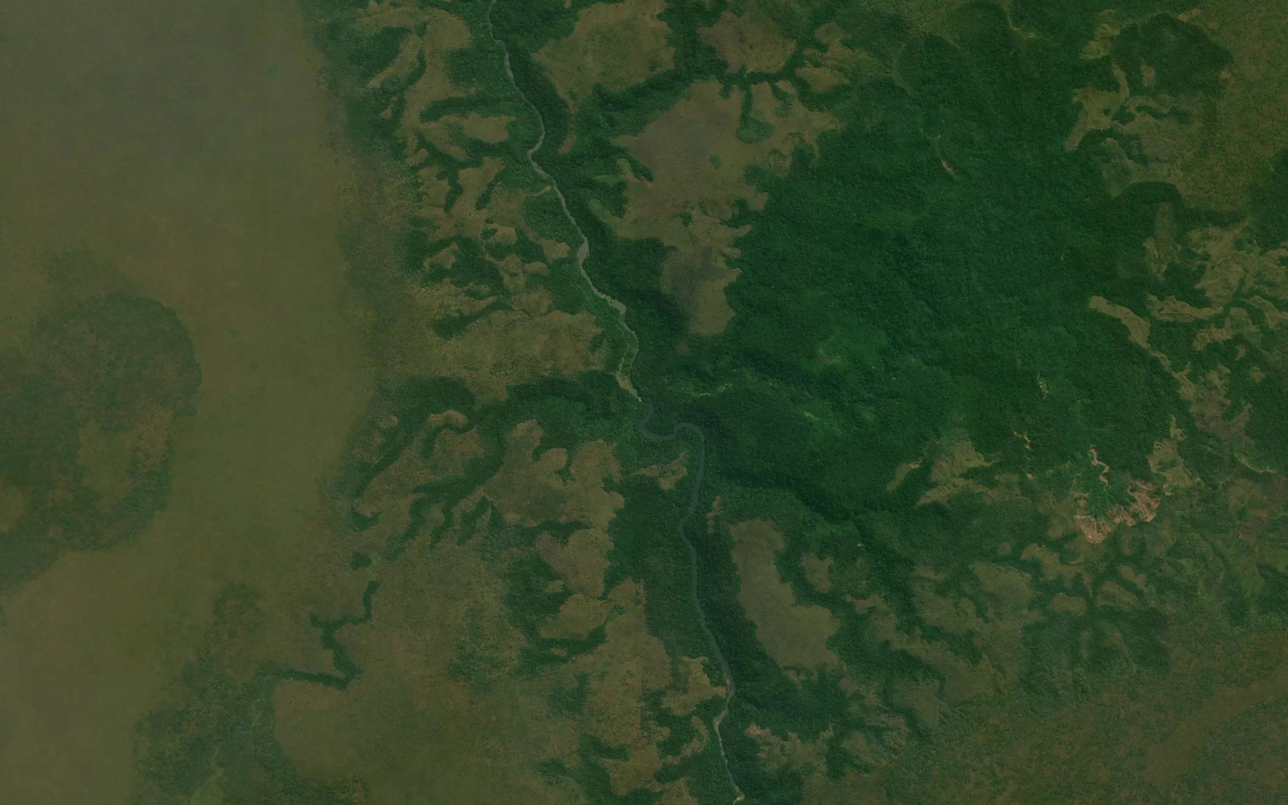 Camuanga