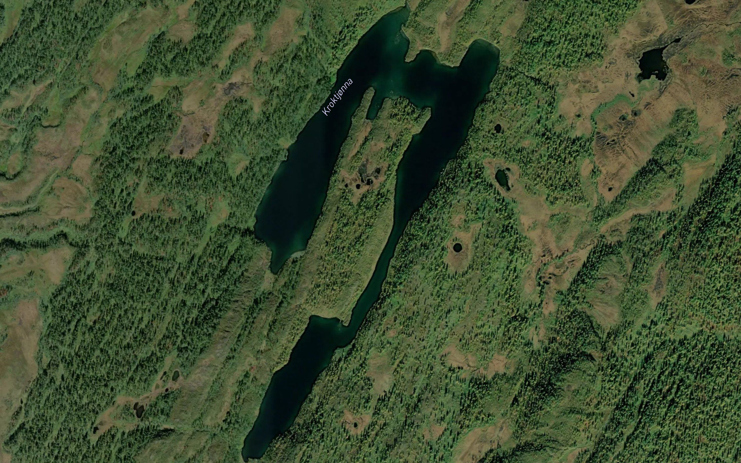 Kroktjorna