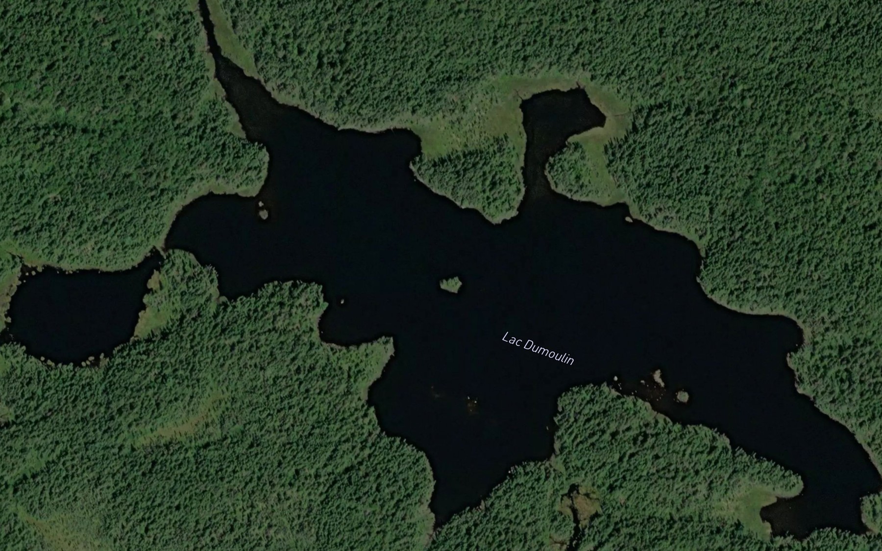 Satellite map of the Lac Dumoulin