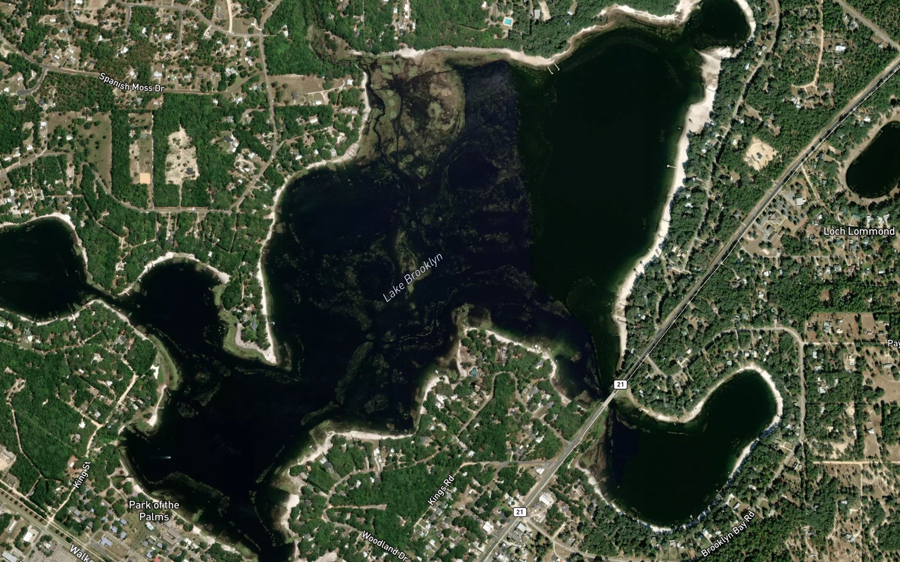 Satellite map of the Lake Brooklyn