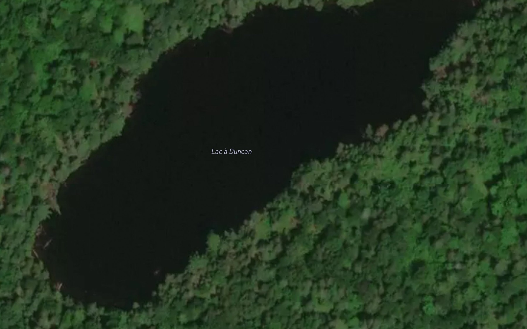 Satellite map of the Lac a Duncan
