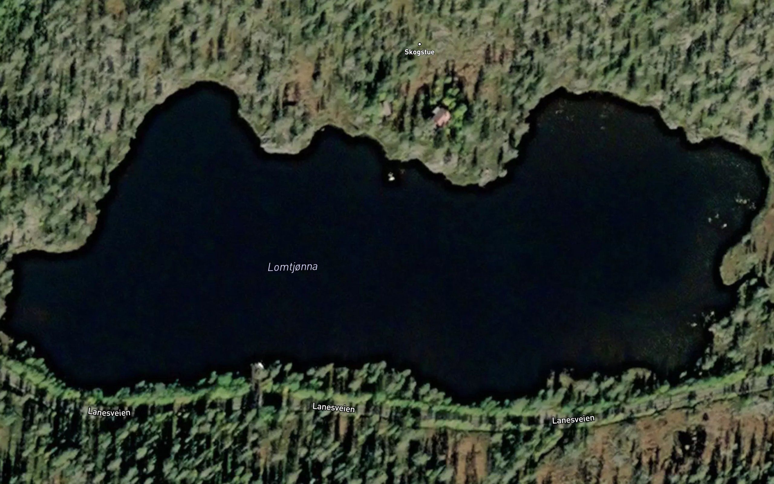 Lomtjonna