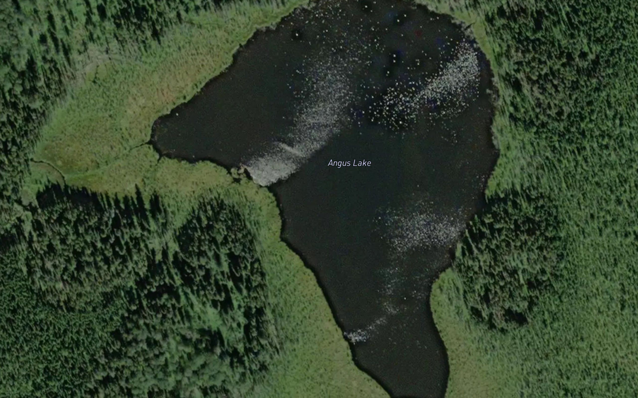 Angus Lake