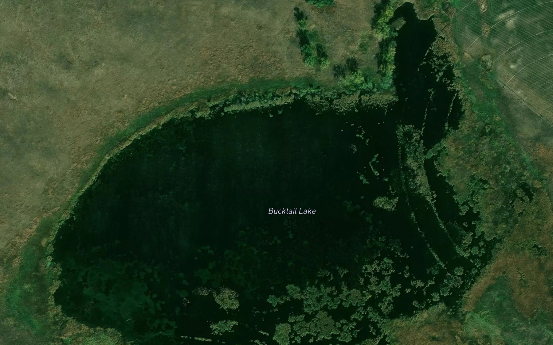 Satellite map of the Bucktail Lake
